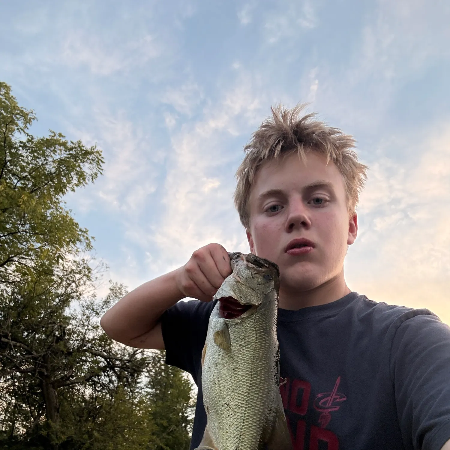 Largemouth bass caught on Fishbrain