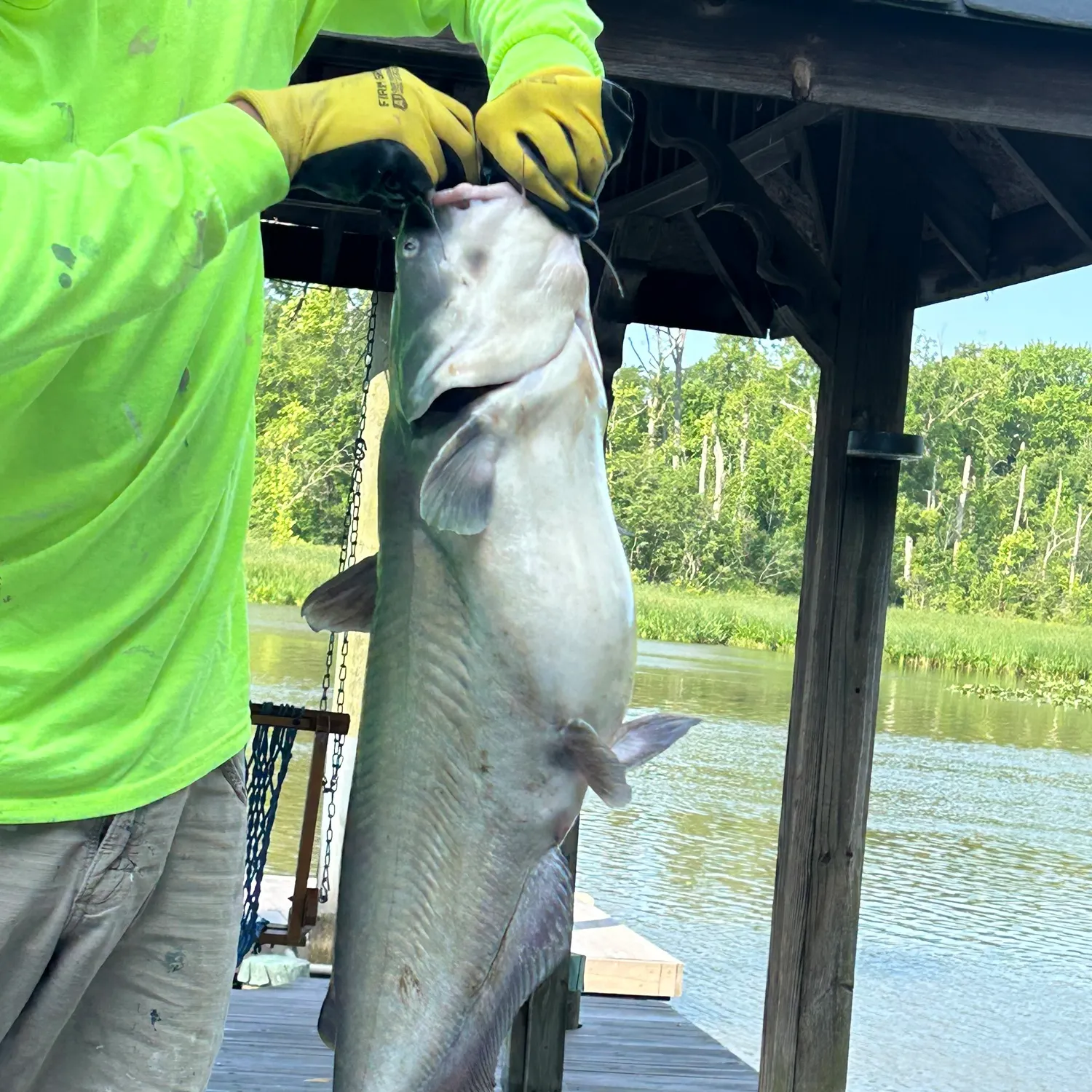 catch