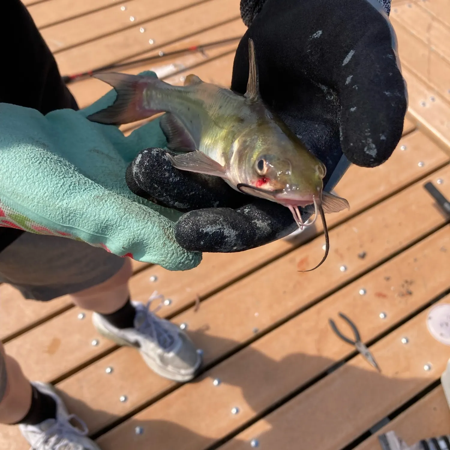 catch