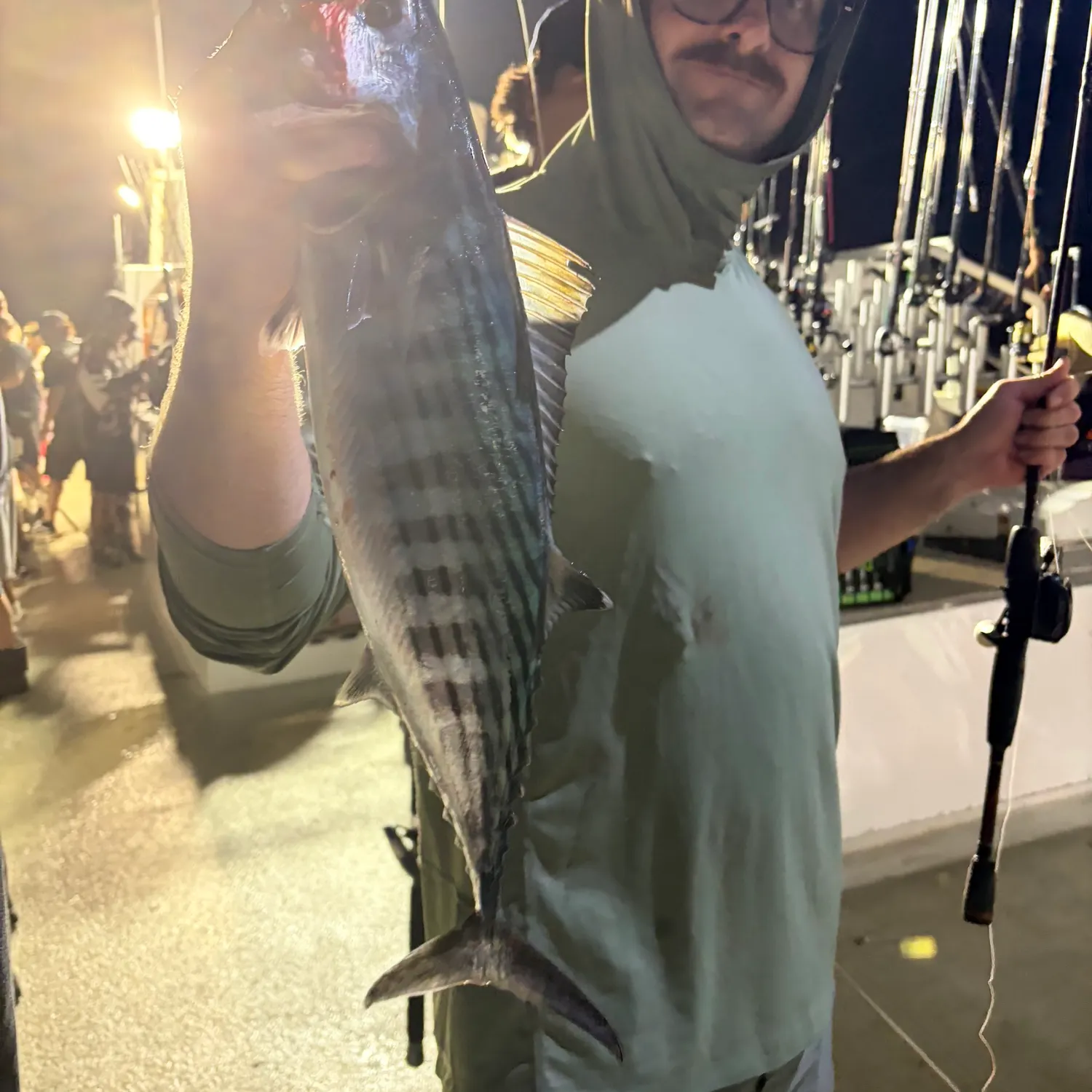 Pacific bonito caught on Fishbrain