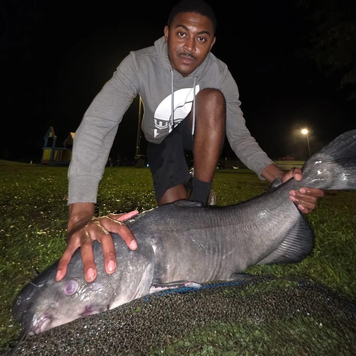 Blue catfish caught on Fishbrain