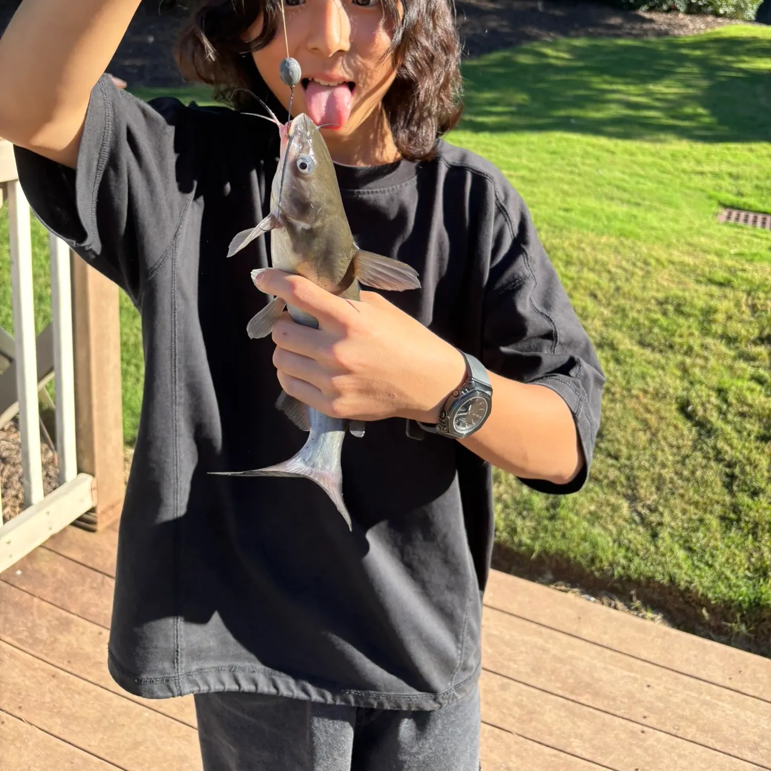 Channel catfish caught on Fishbrain