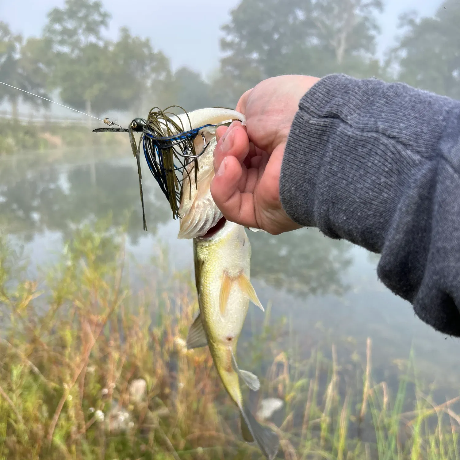 Largemouth bass caught on Fishbrain