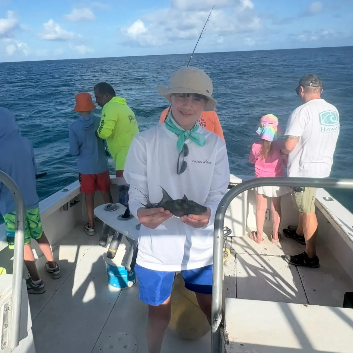 The most recent Yellowmargin triggerfish catches on Fishbrain