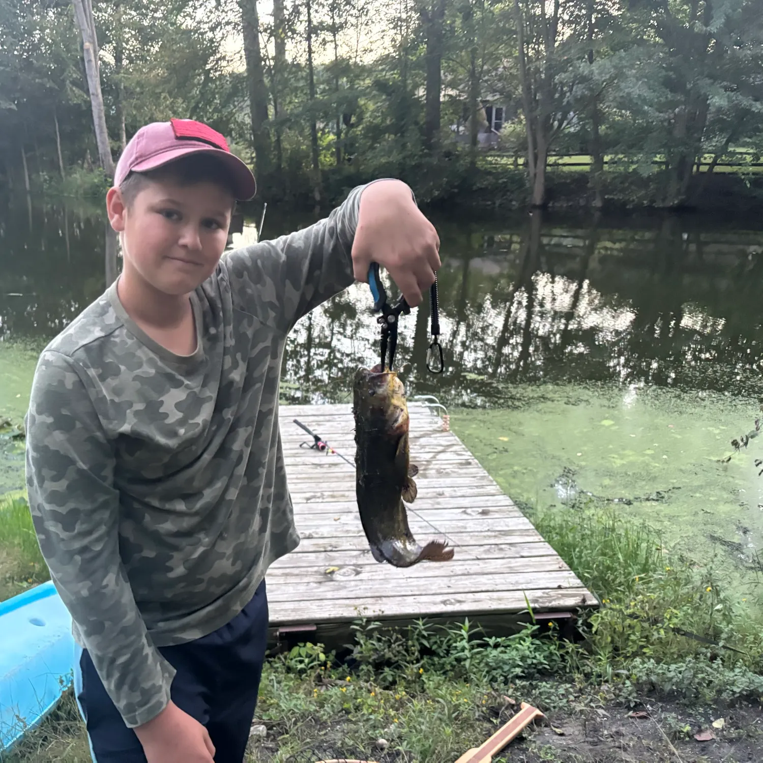 Yellow bullhead caught on Fishbrain