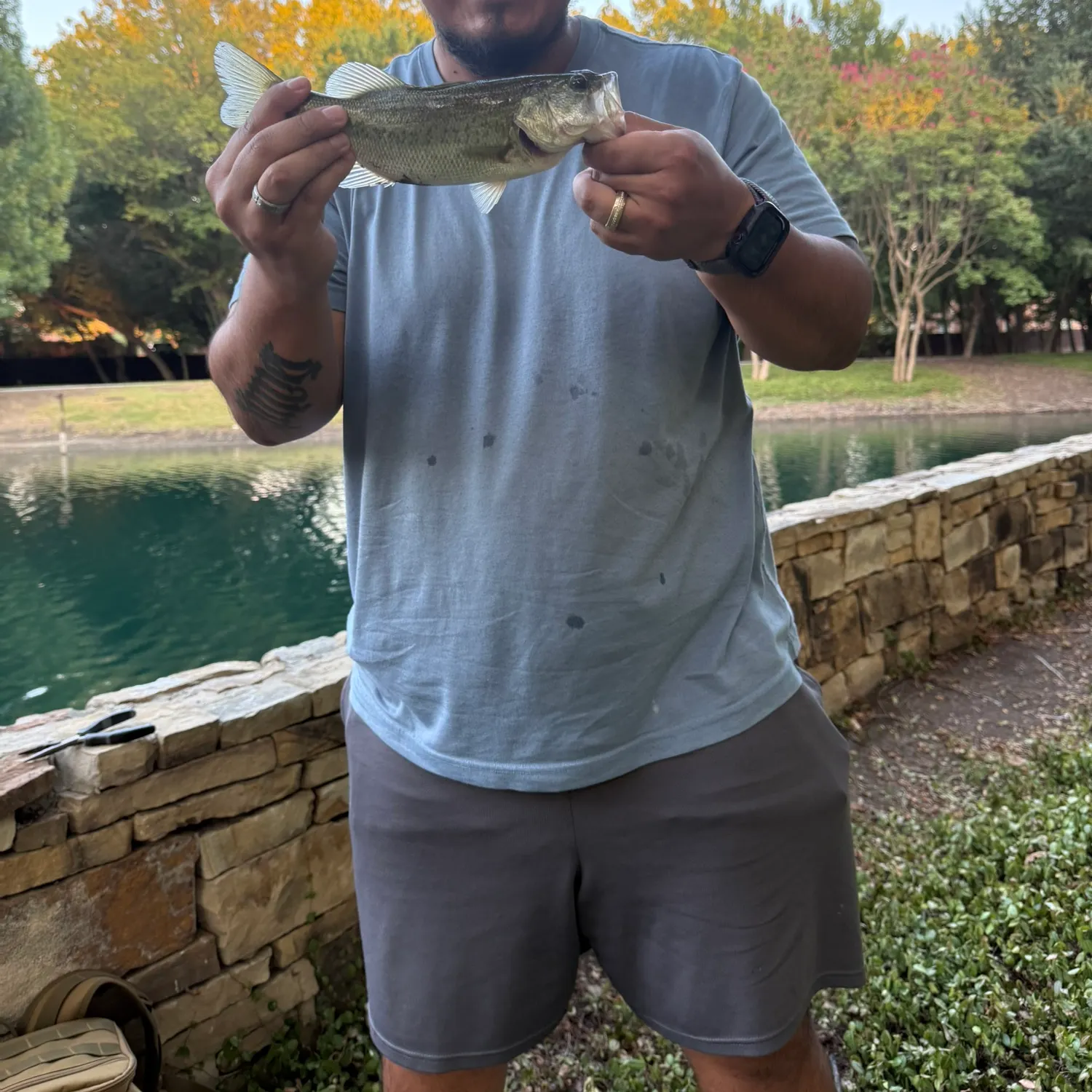 Spotted bass caught on Fishbrain