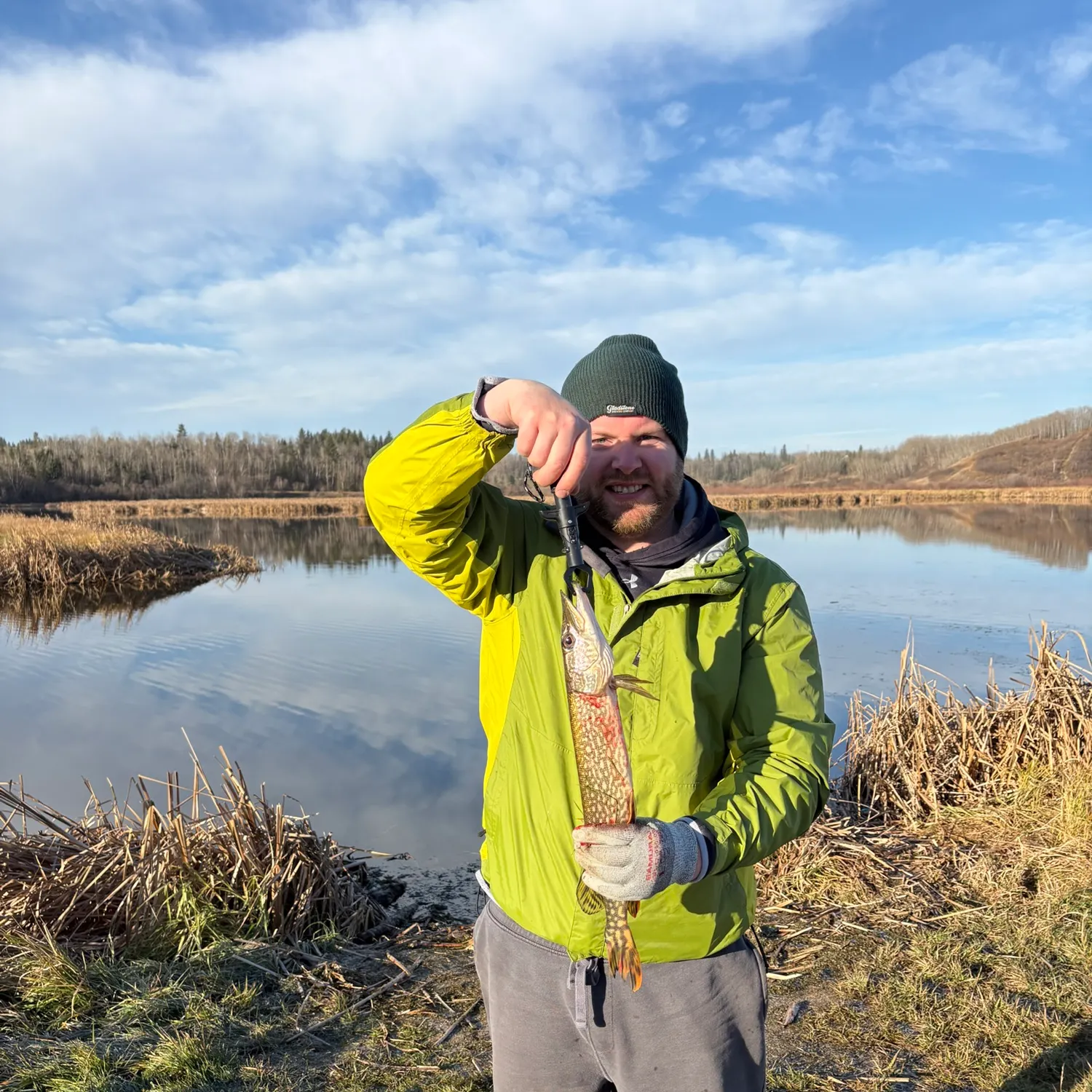 Northern pike caught on Fishbrain