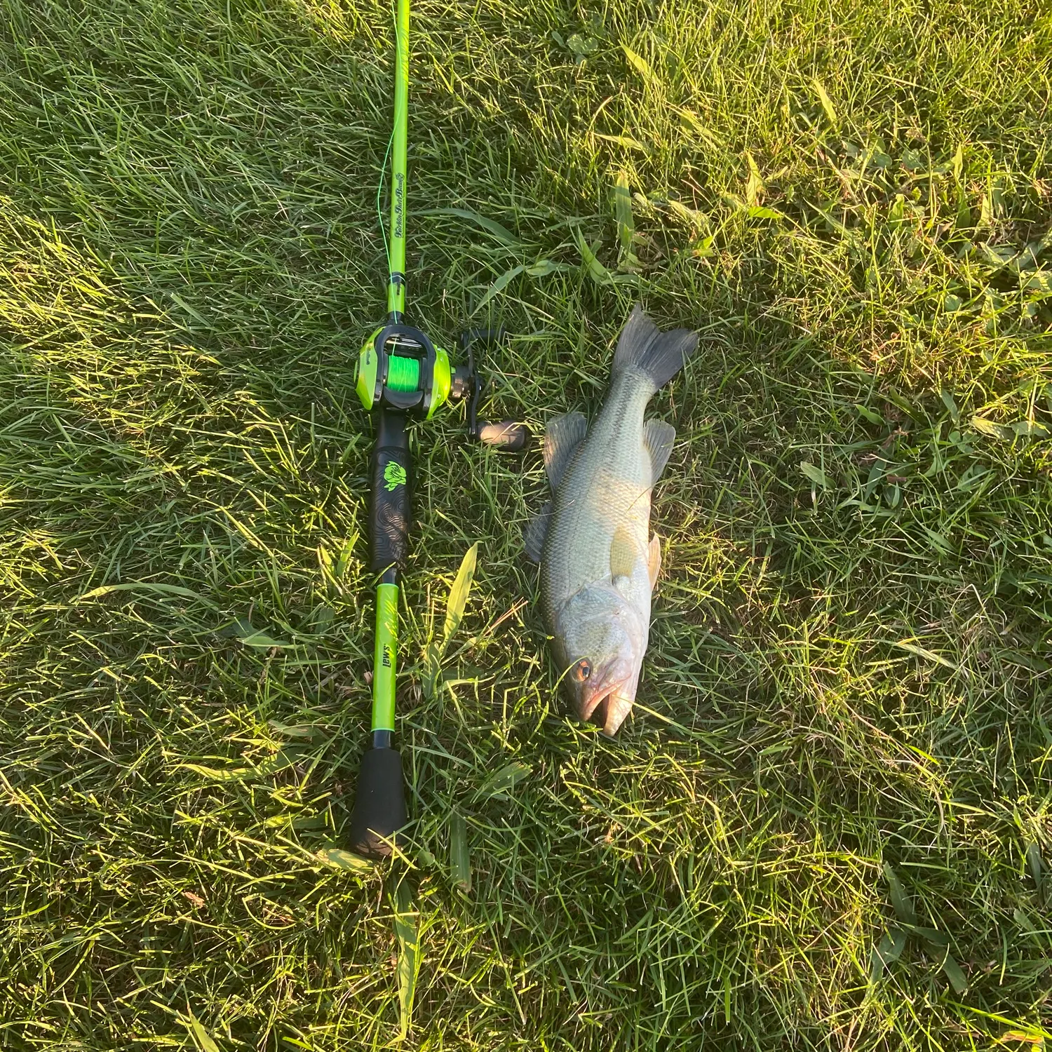 Fish caught on Fishbrain