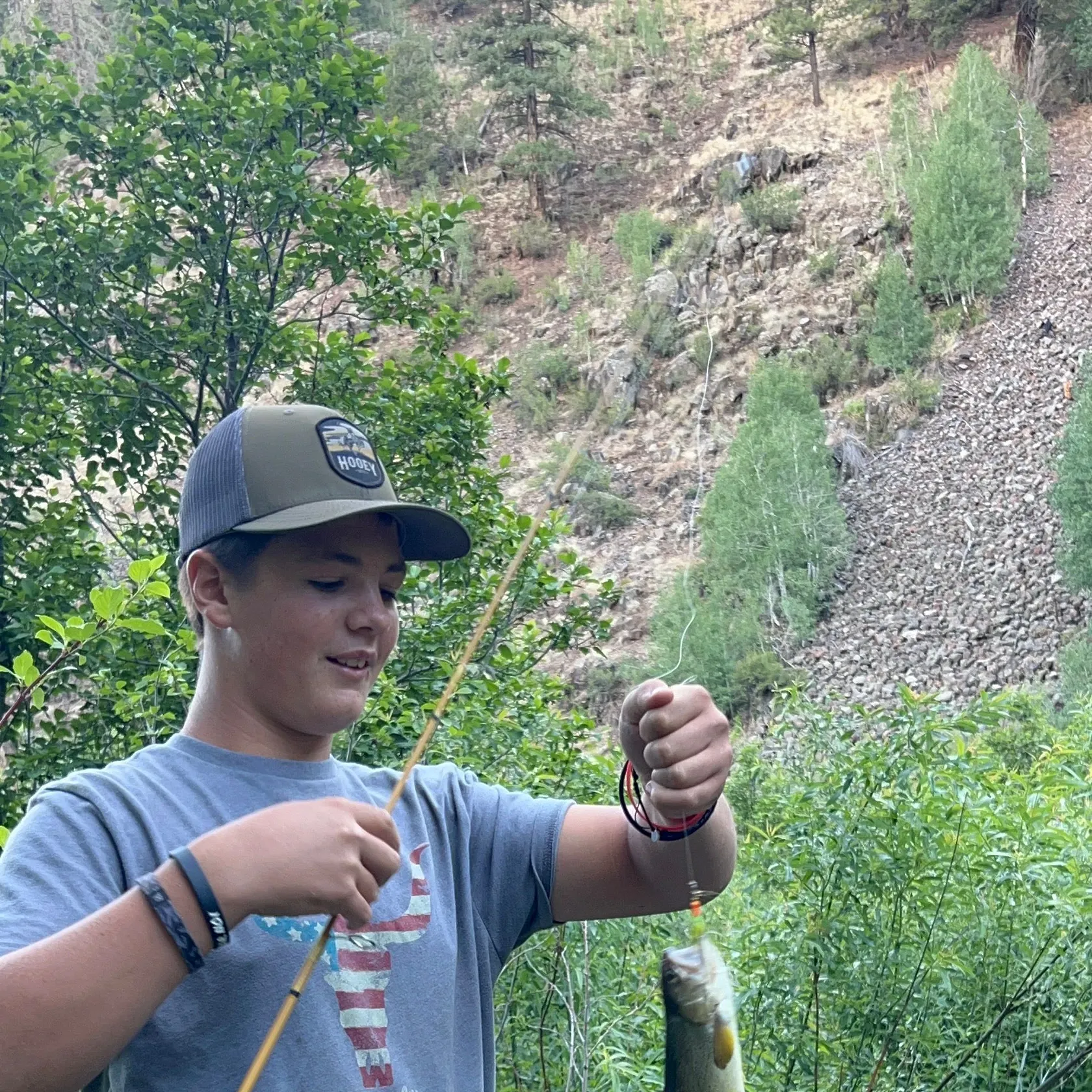 The most recent Apache trout catches on Fishbrain