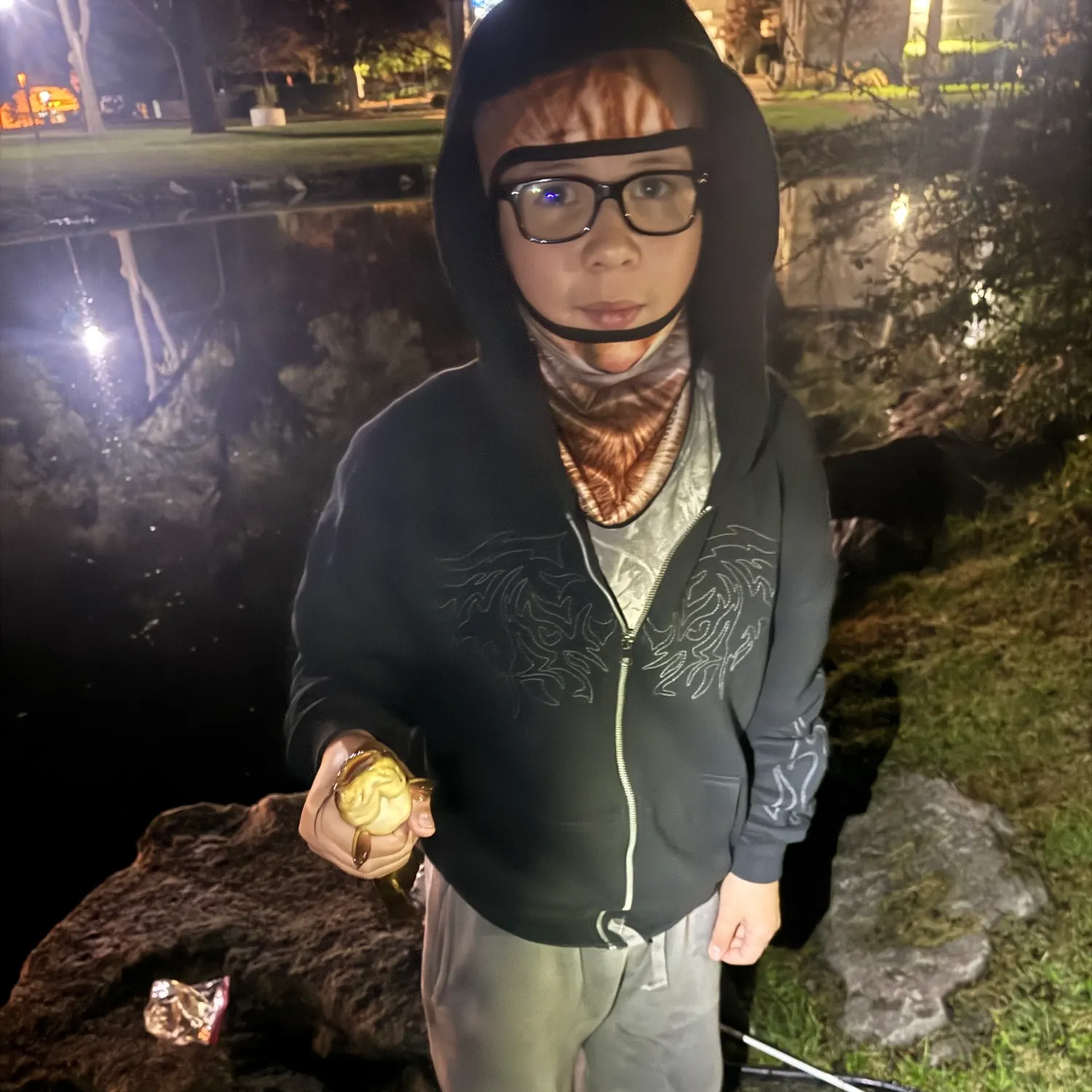 Yellow bullhead caught on Fishbrain