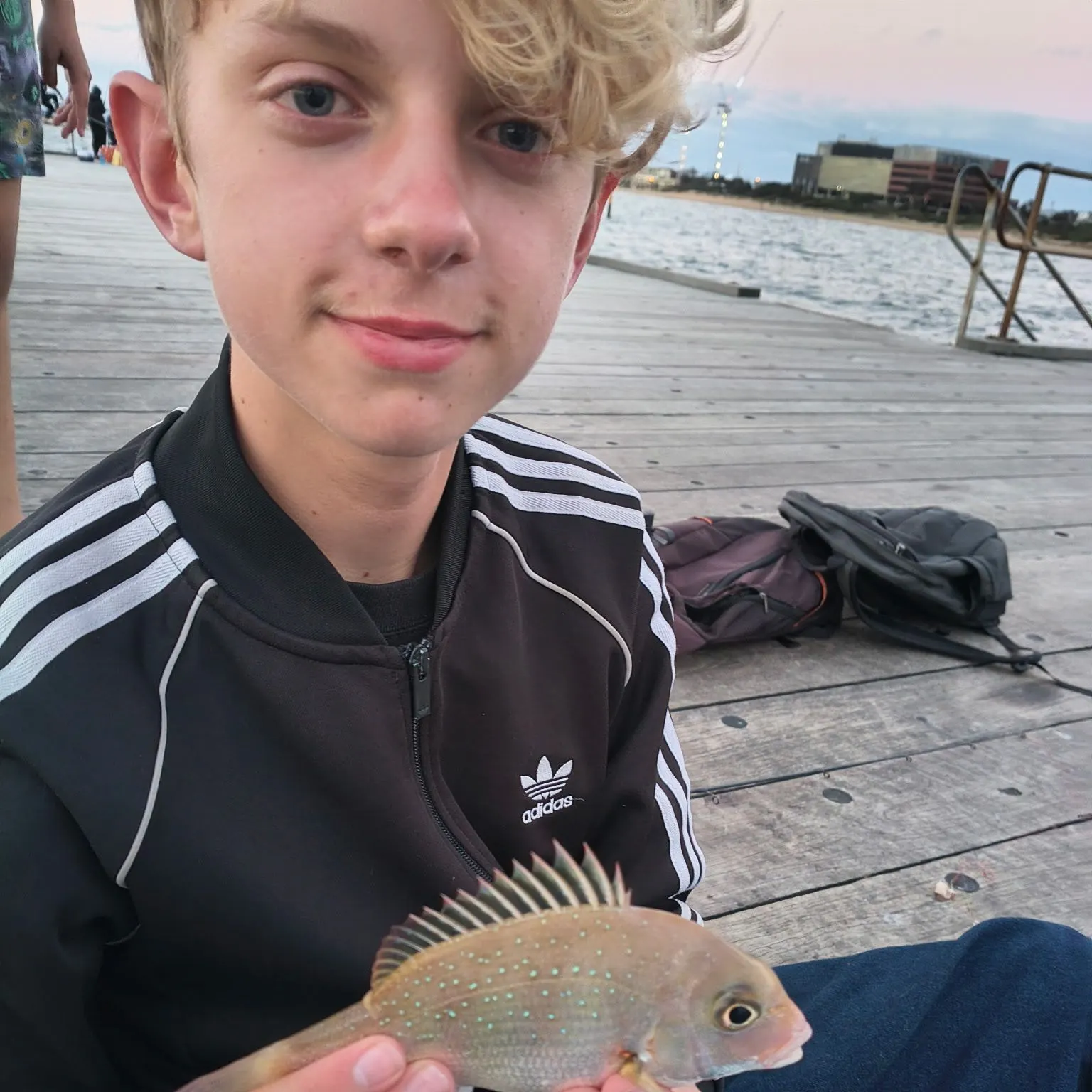 Australasian snapper caught on Fishbrain