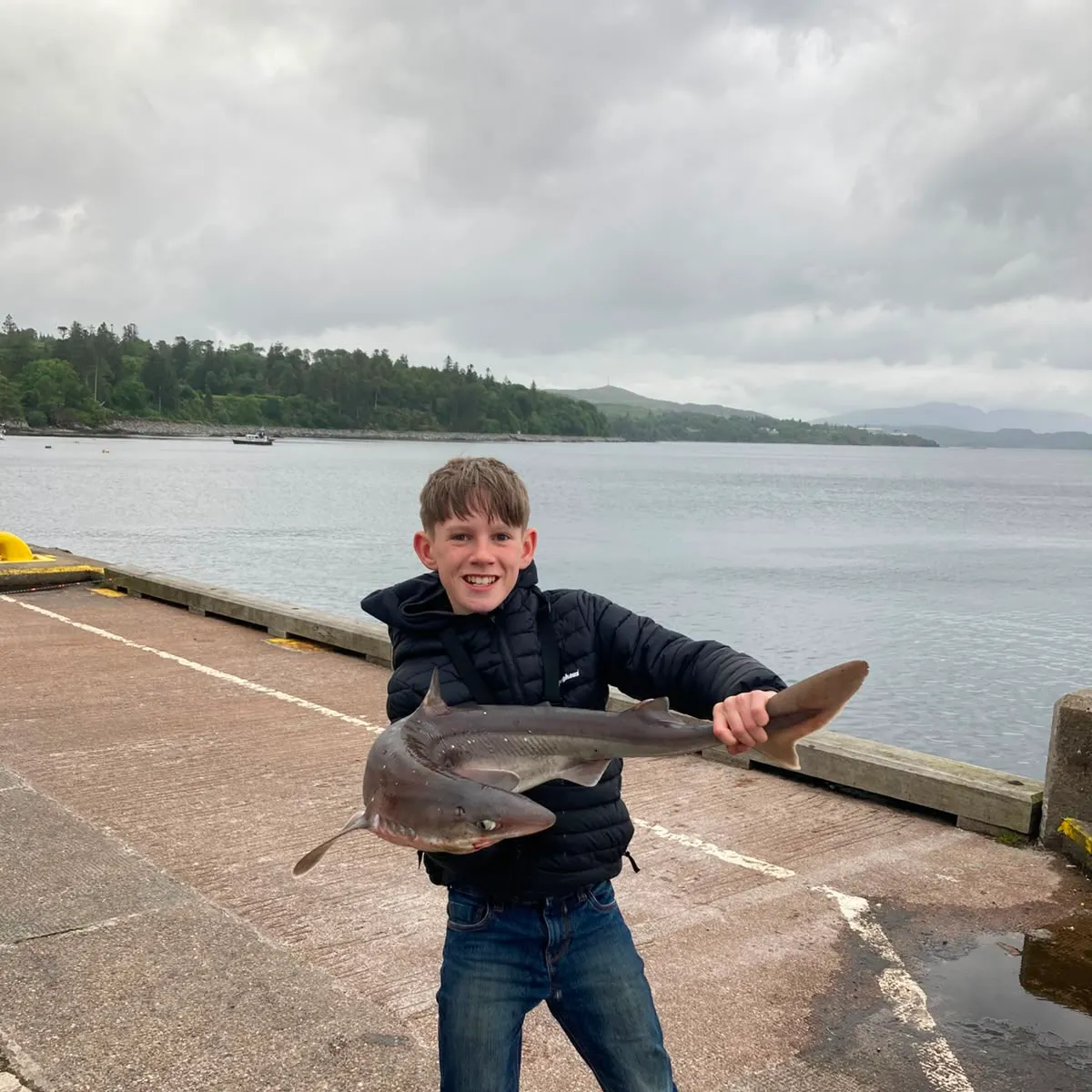 The most recent Piked dogfish catches on Fishbrain