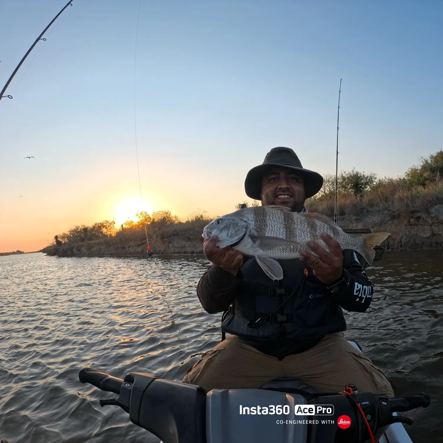 Black drum caught on Fishbrain
