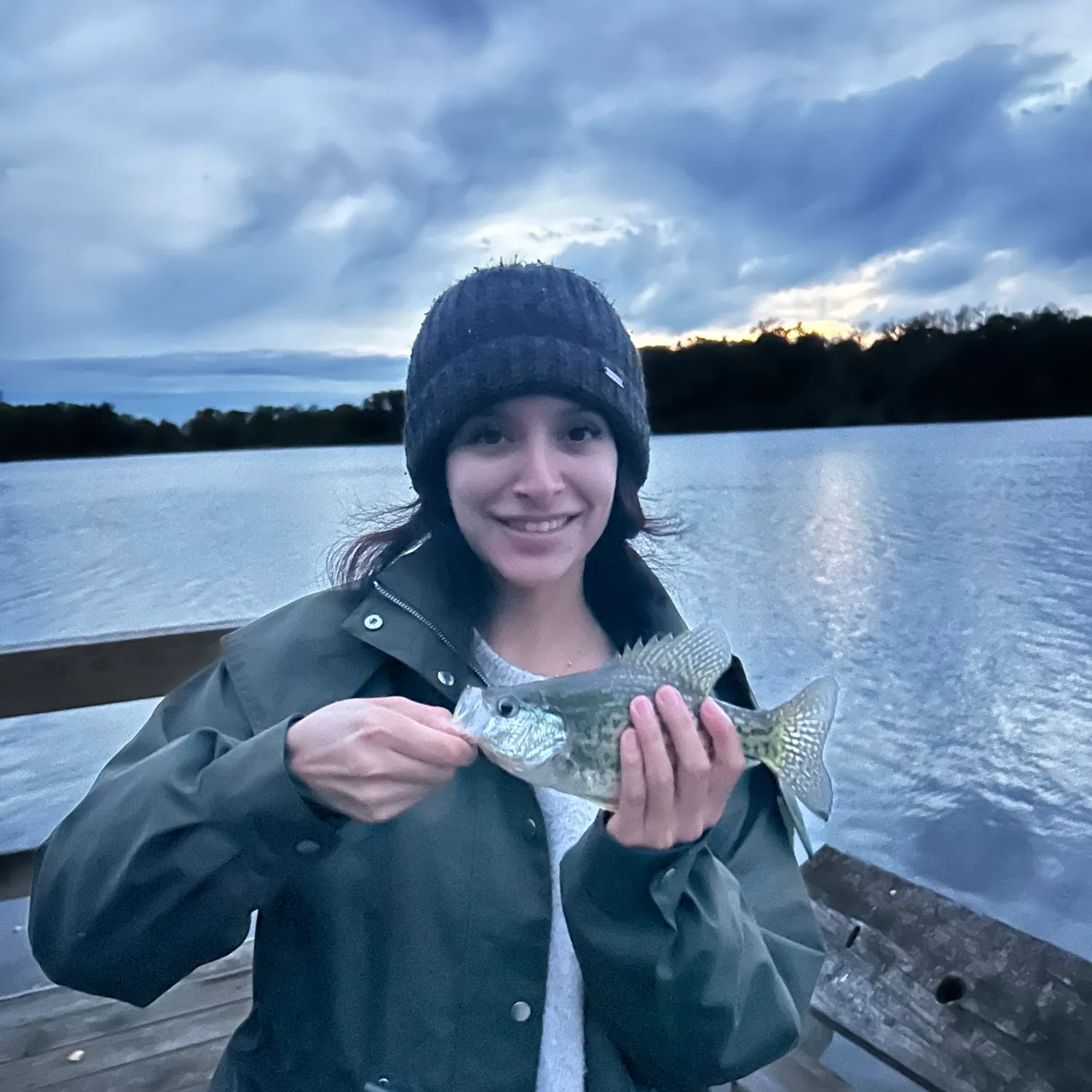 Black crappie caught on Fishbrain