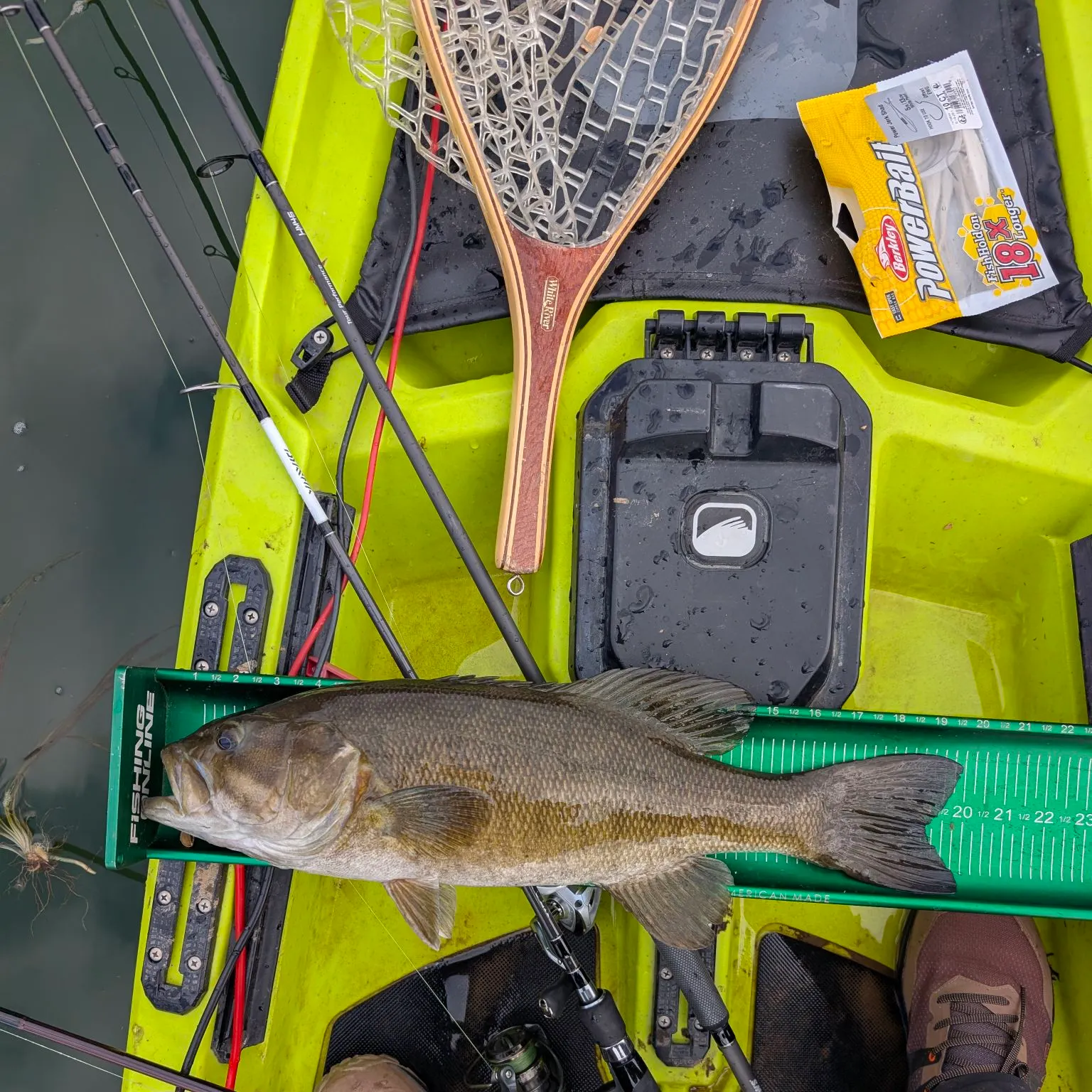 recently logged catches