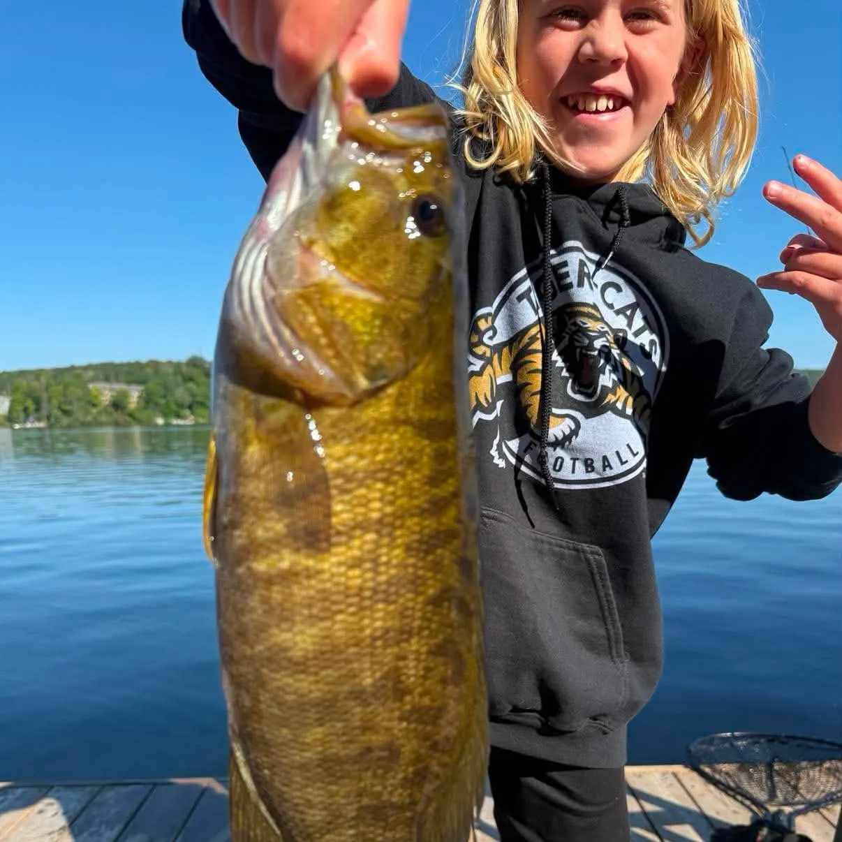 Smallmouth bass caught on Fishbrain