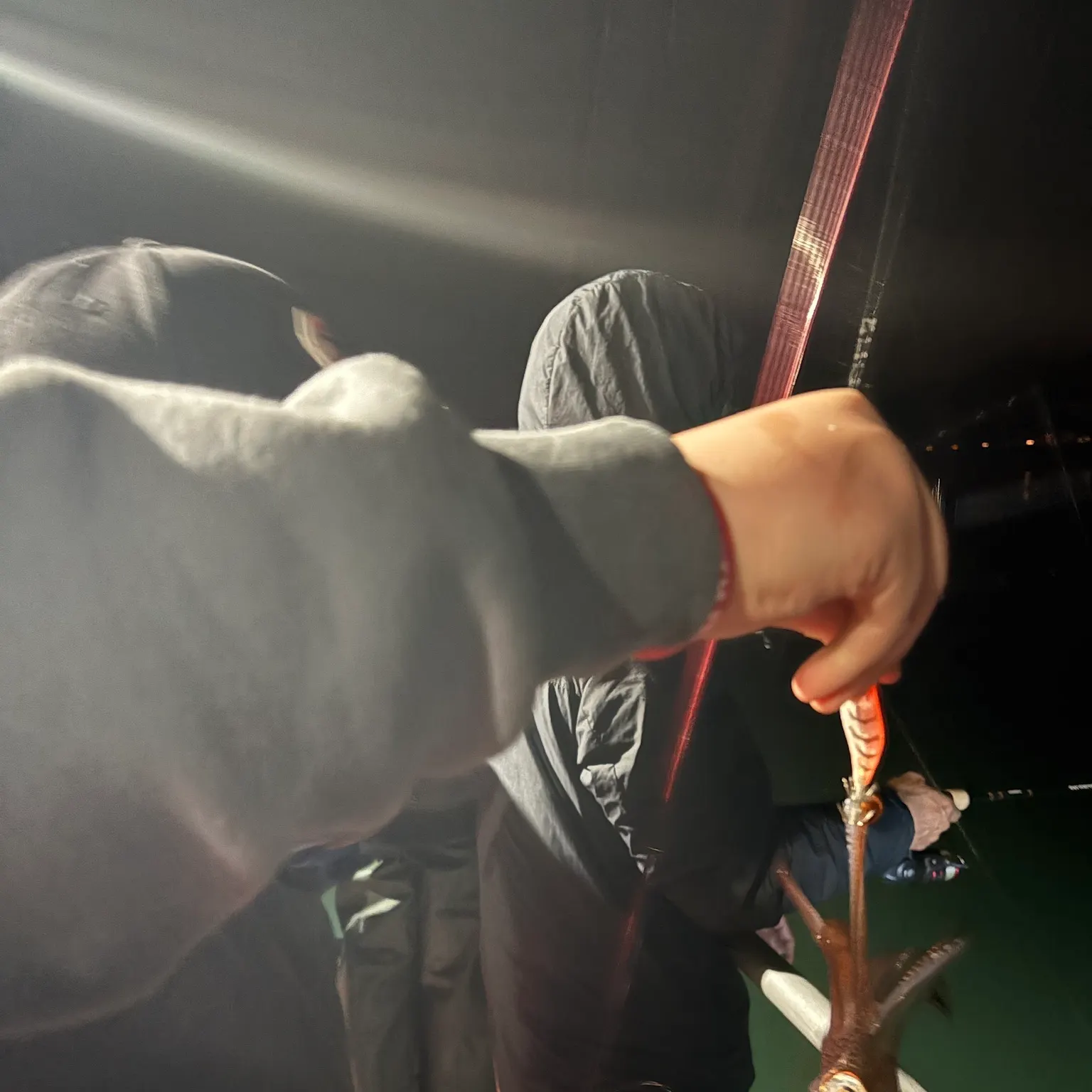 The most recent Longfin inshore squid catches on Fishbrain