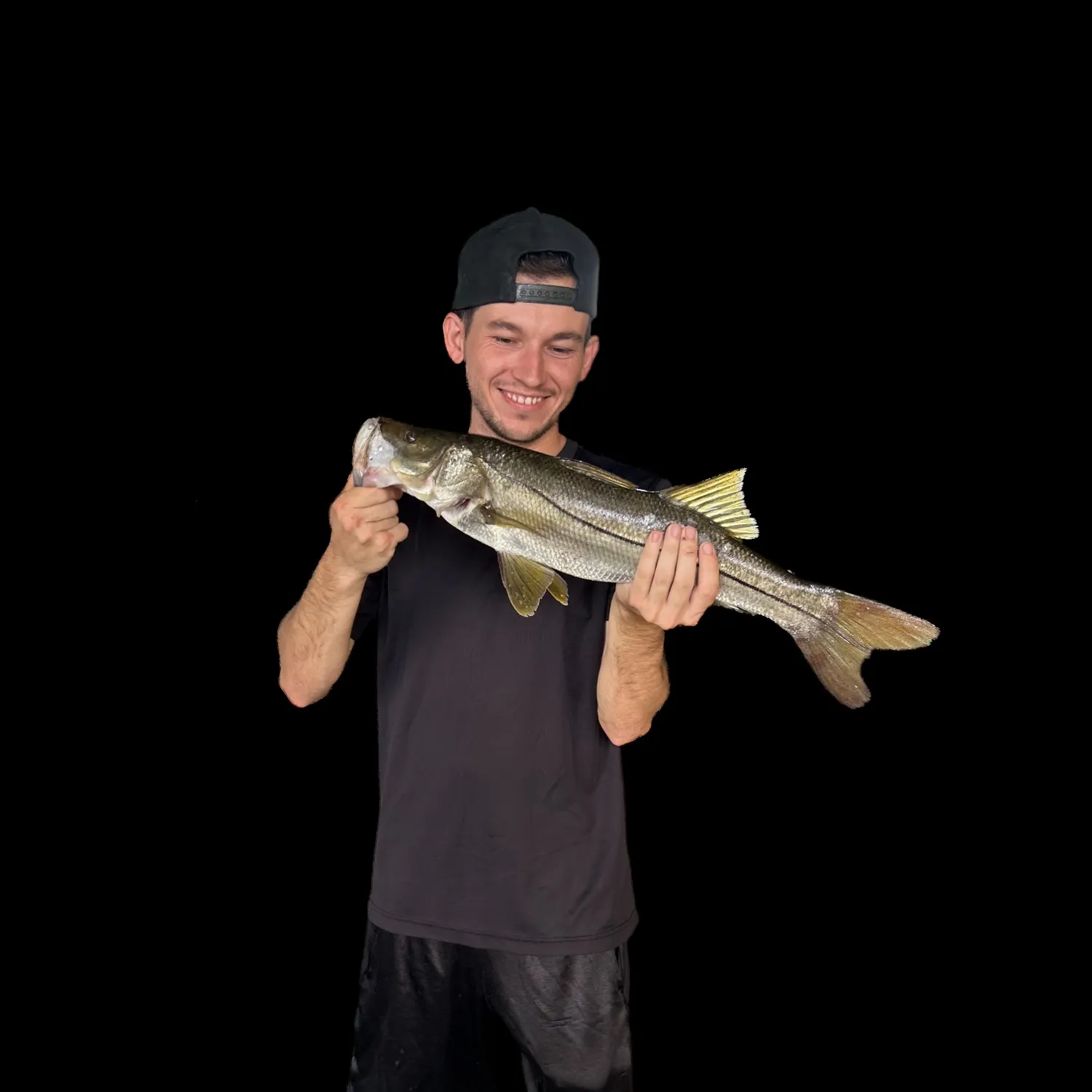 Common snook caught on Fishbrain