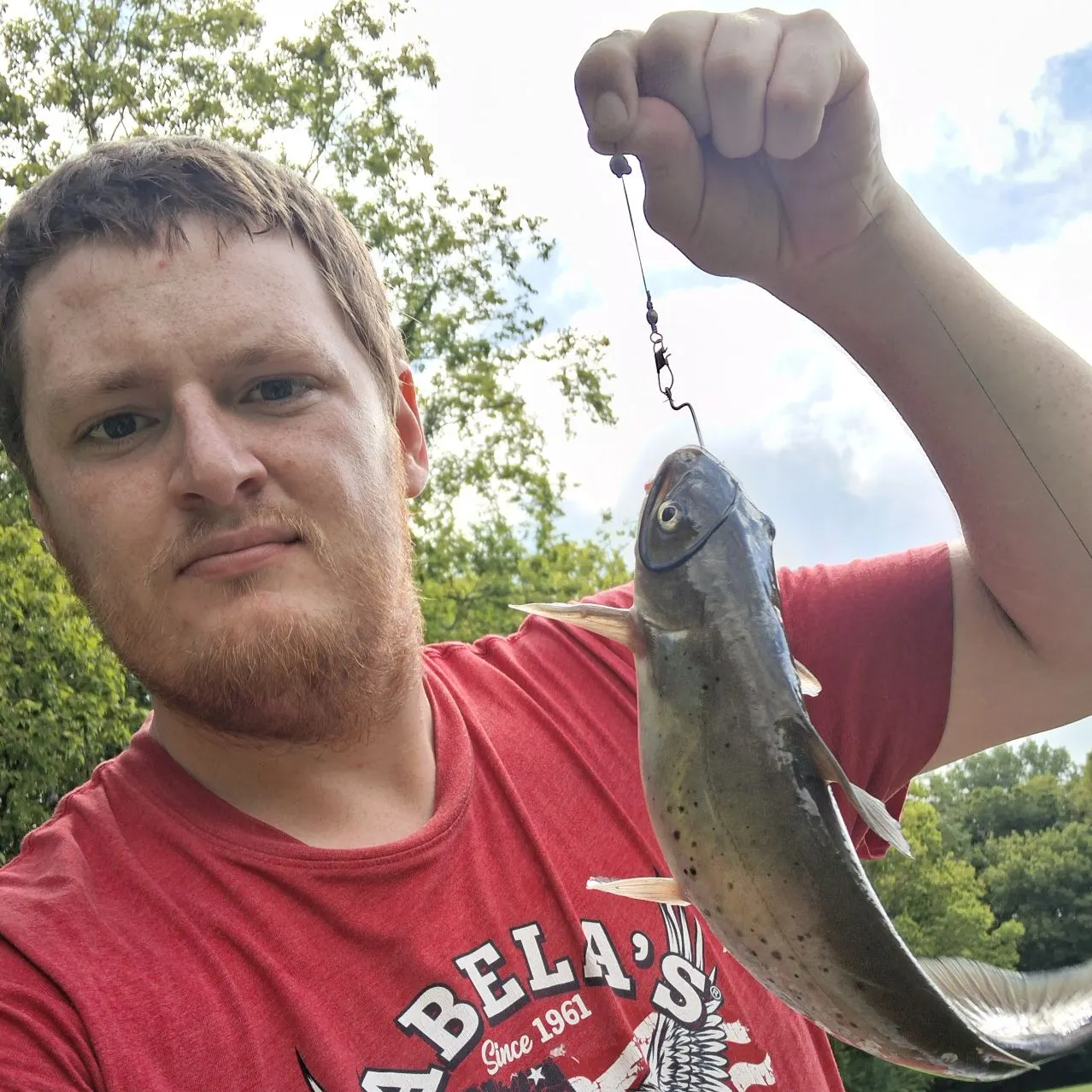 Channel catfish caught on Fishbrain