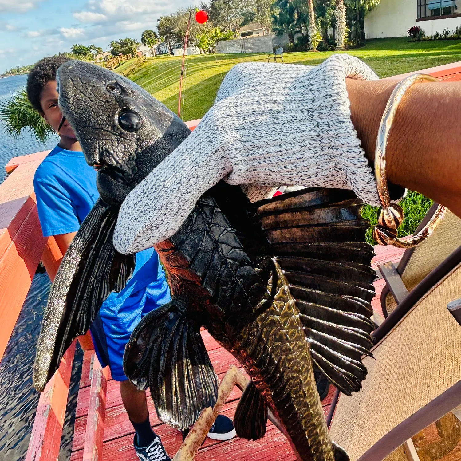 The most recent Suckermouth catfish catches on Fishbrain