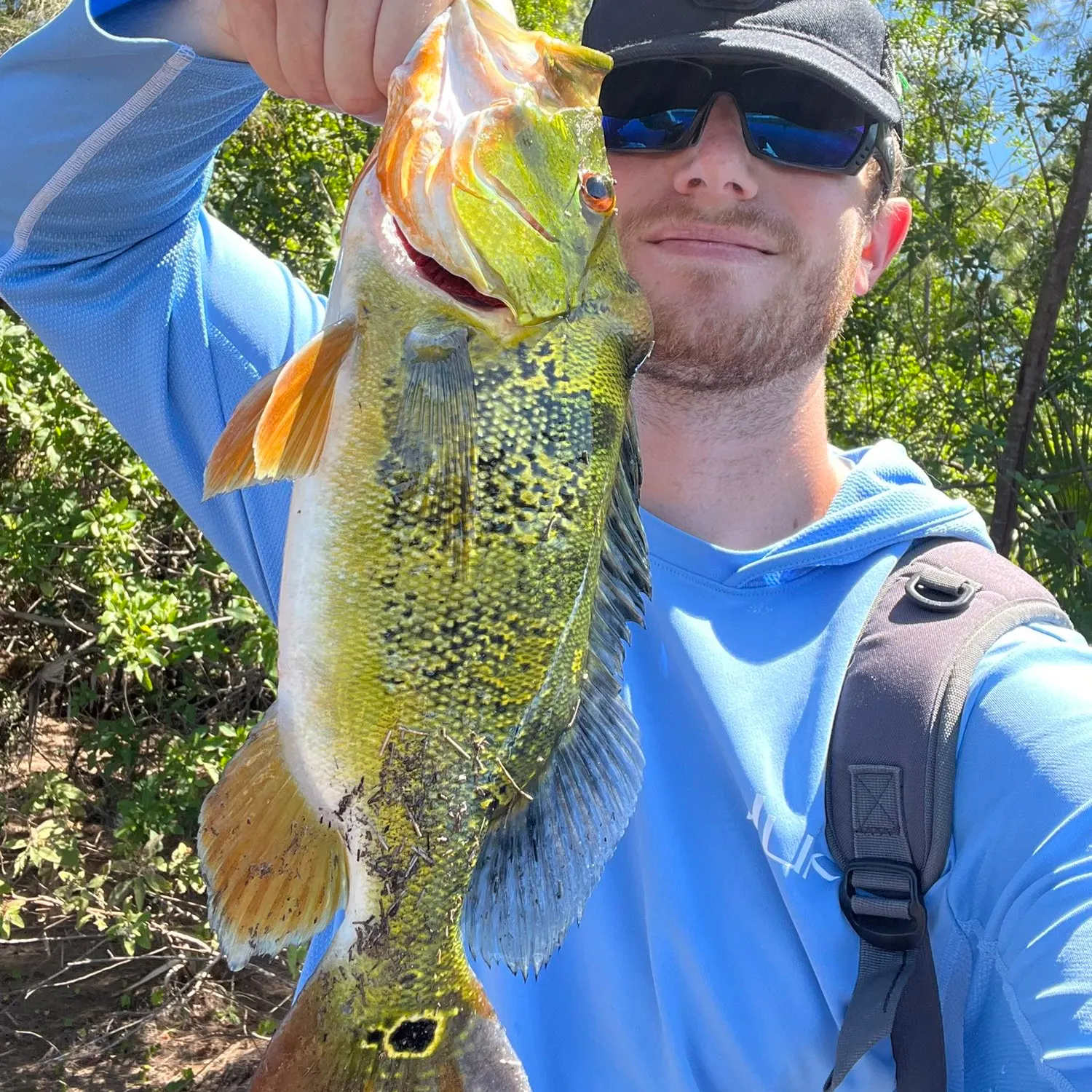 angler catch