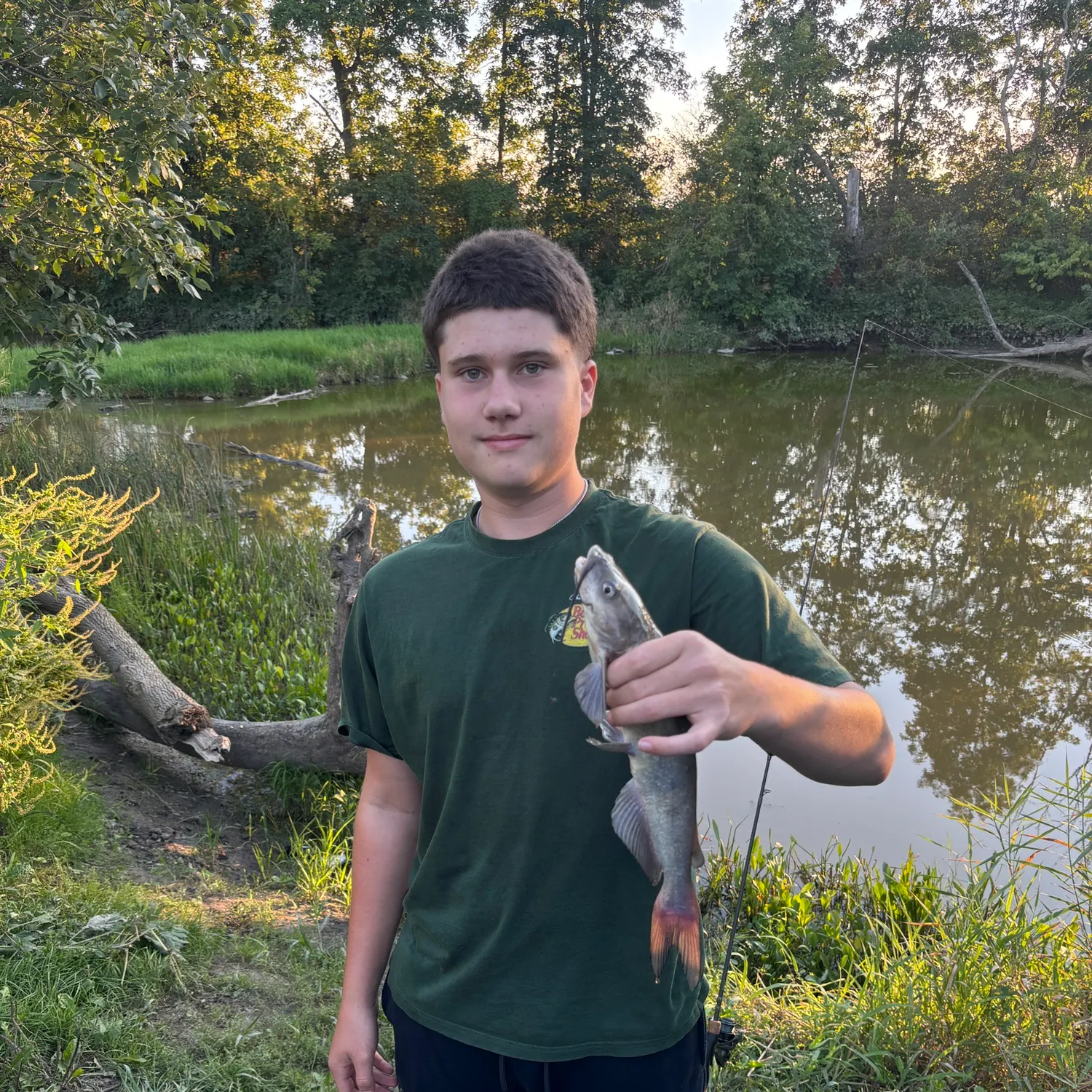 Channel catfish caught on Fishbrain