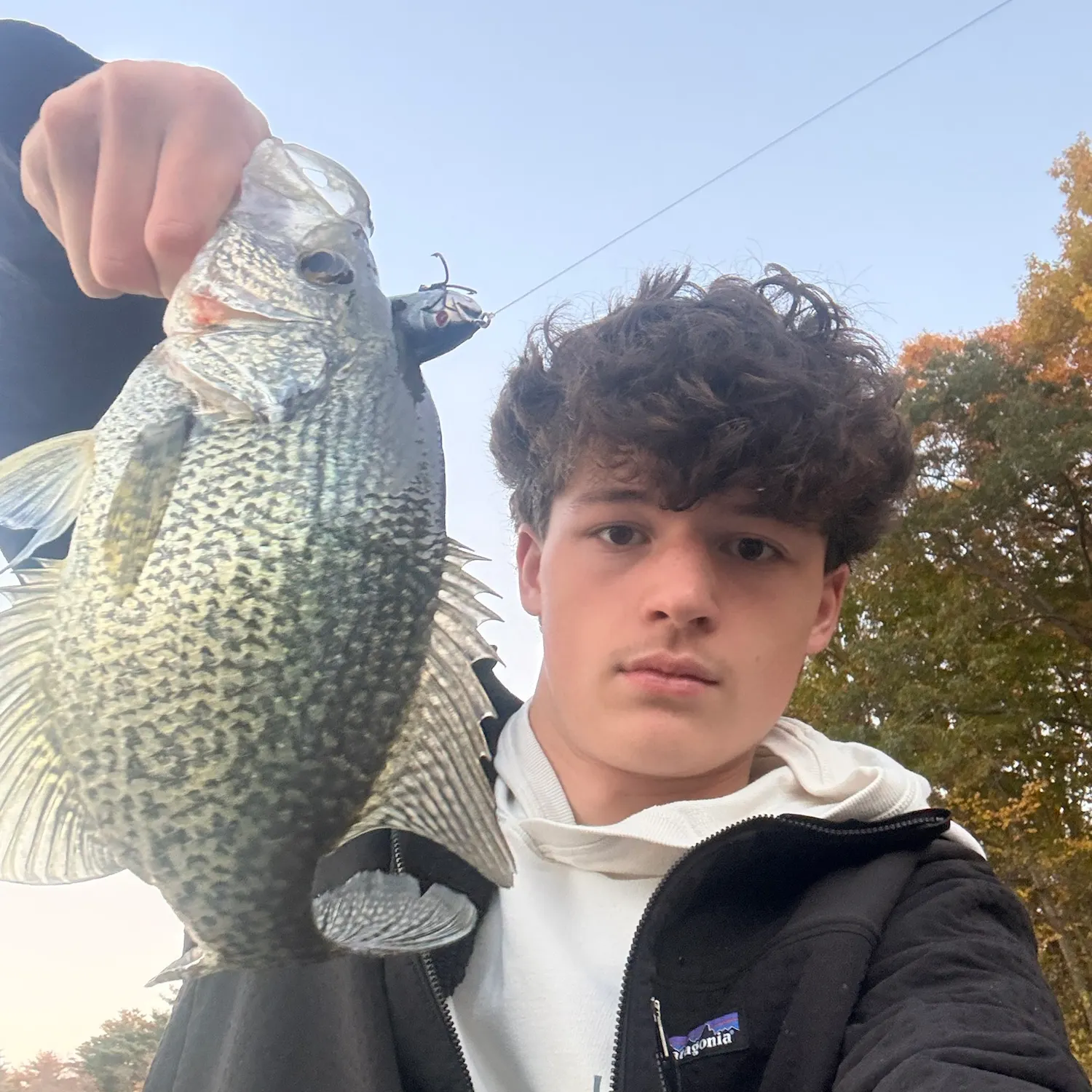 Black crappie caught on Fishbrain