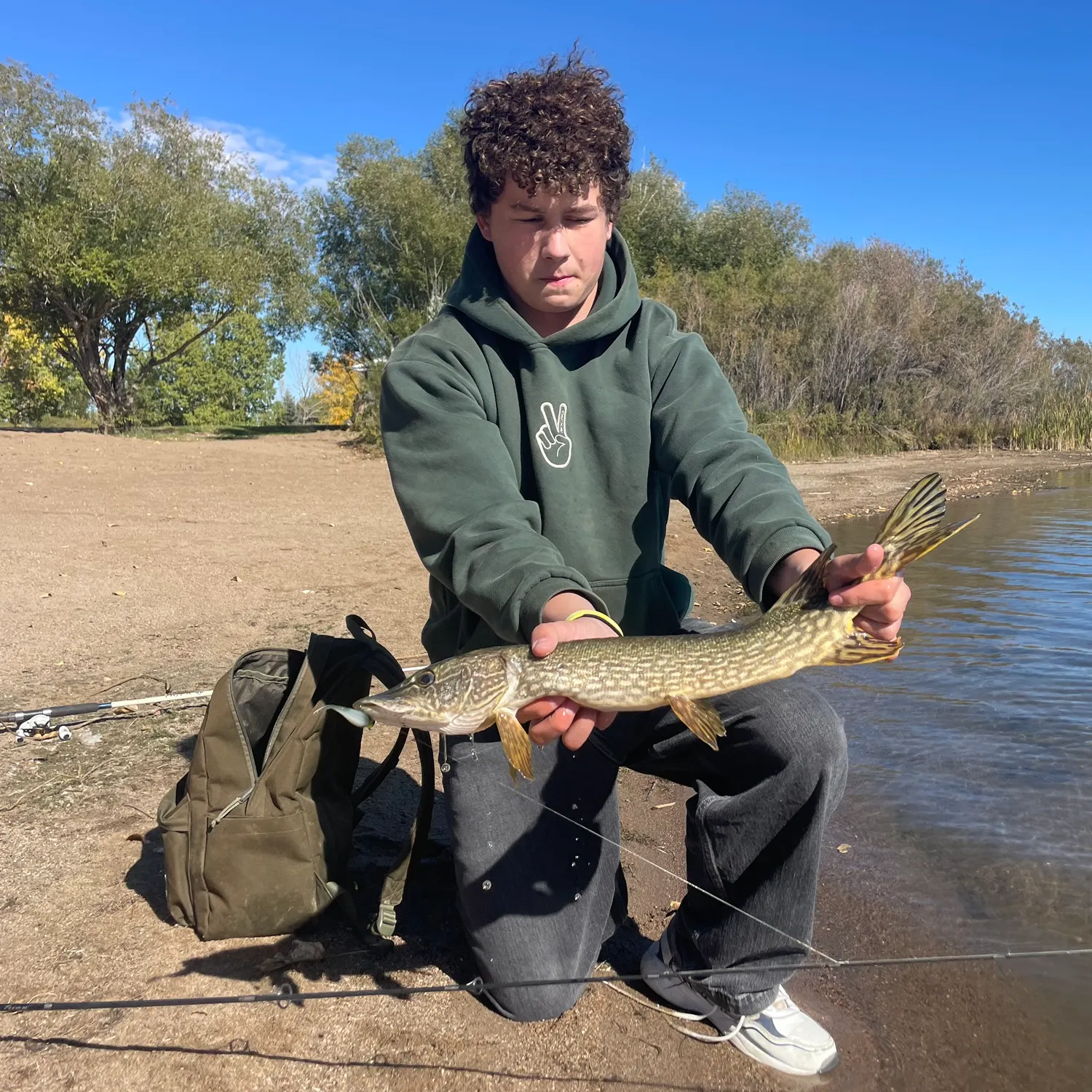 Northern pike caught on Fishbrain