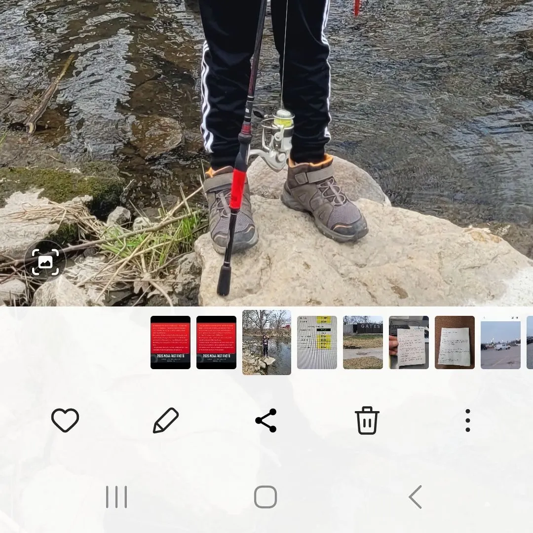 recently logged catches