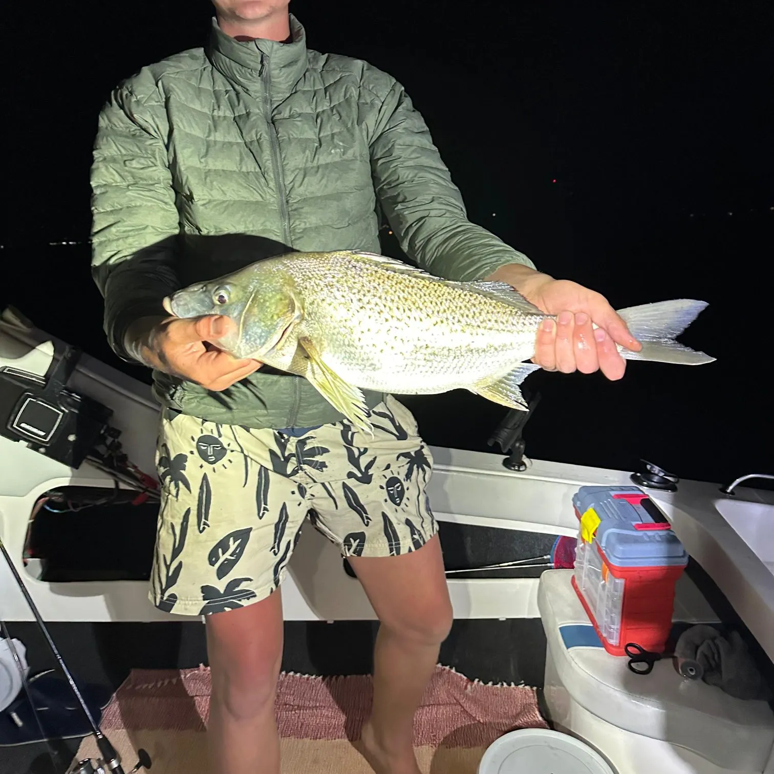 The most recent Smallspotted grunter catches on Fishbrain