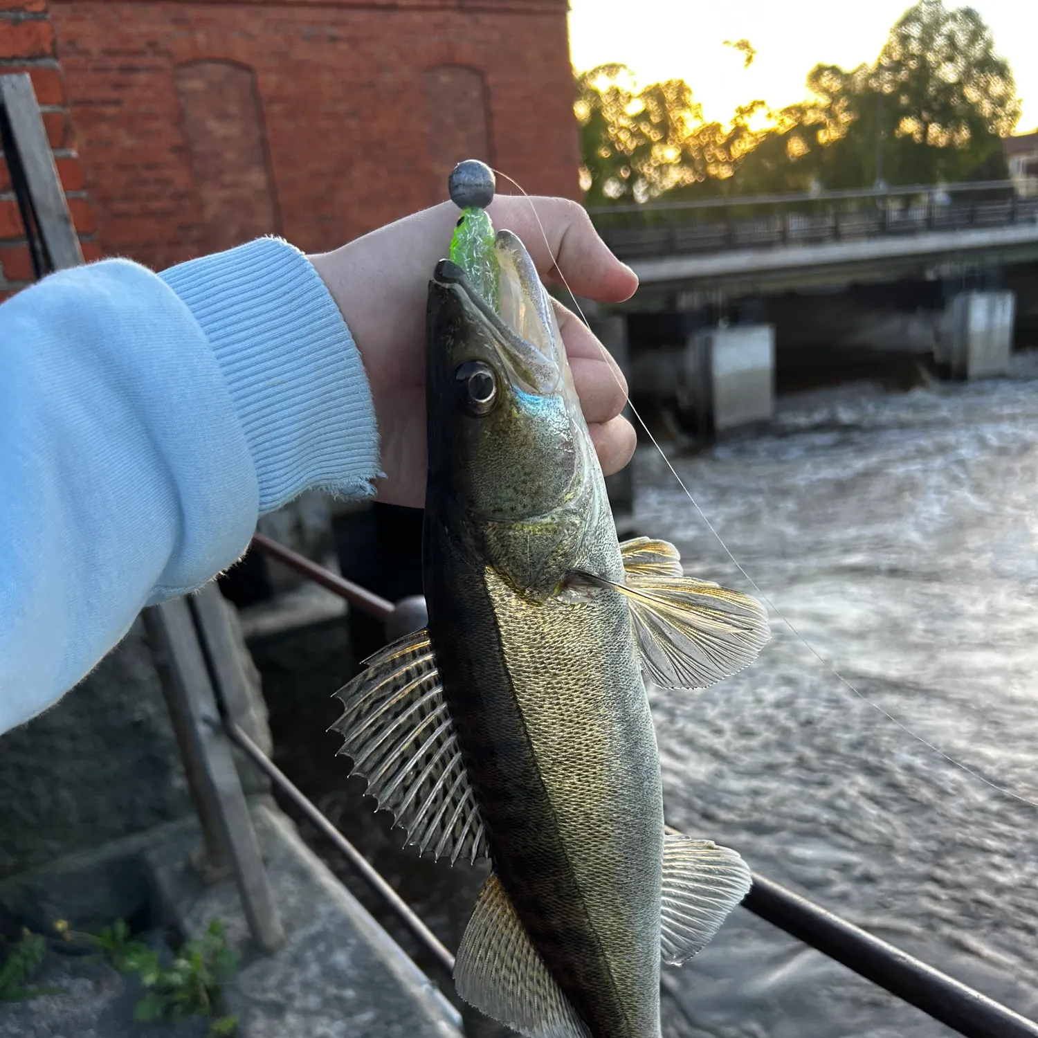 catch