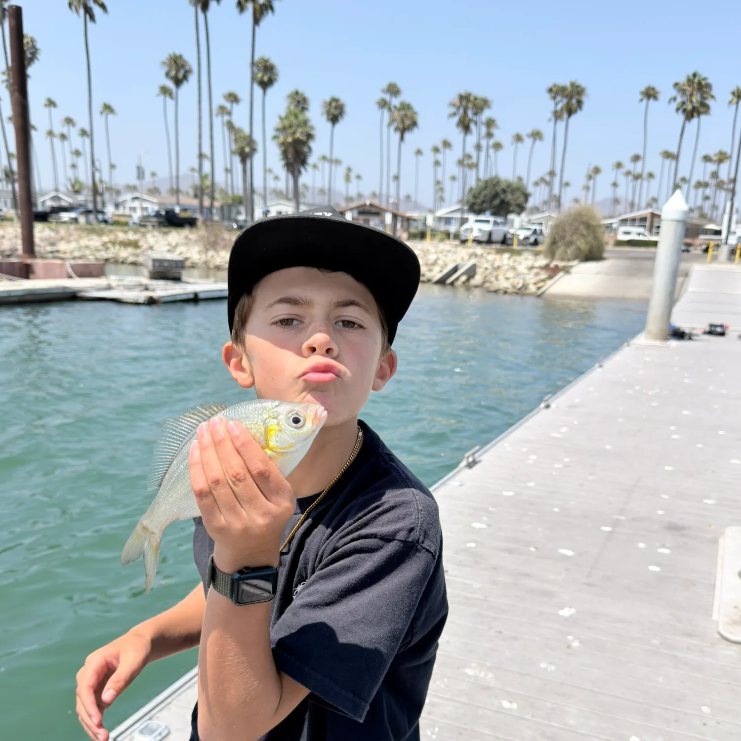 The most recent Opaleye catches on Fishbrain