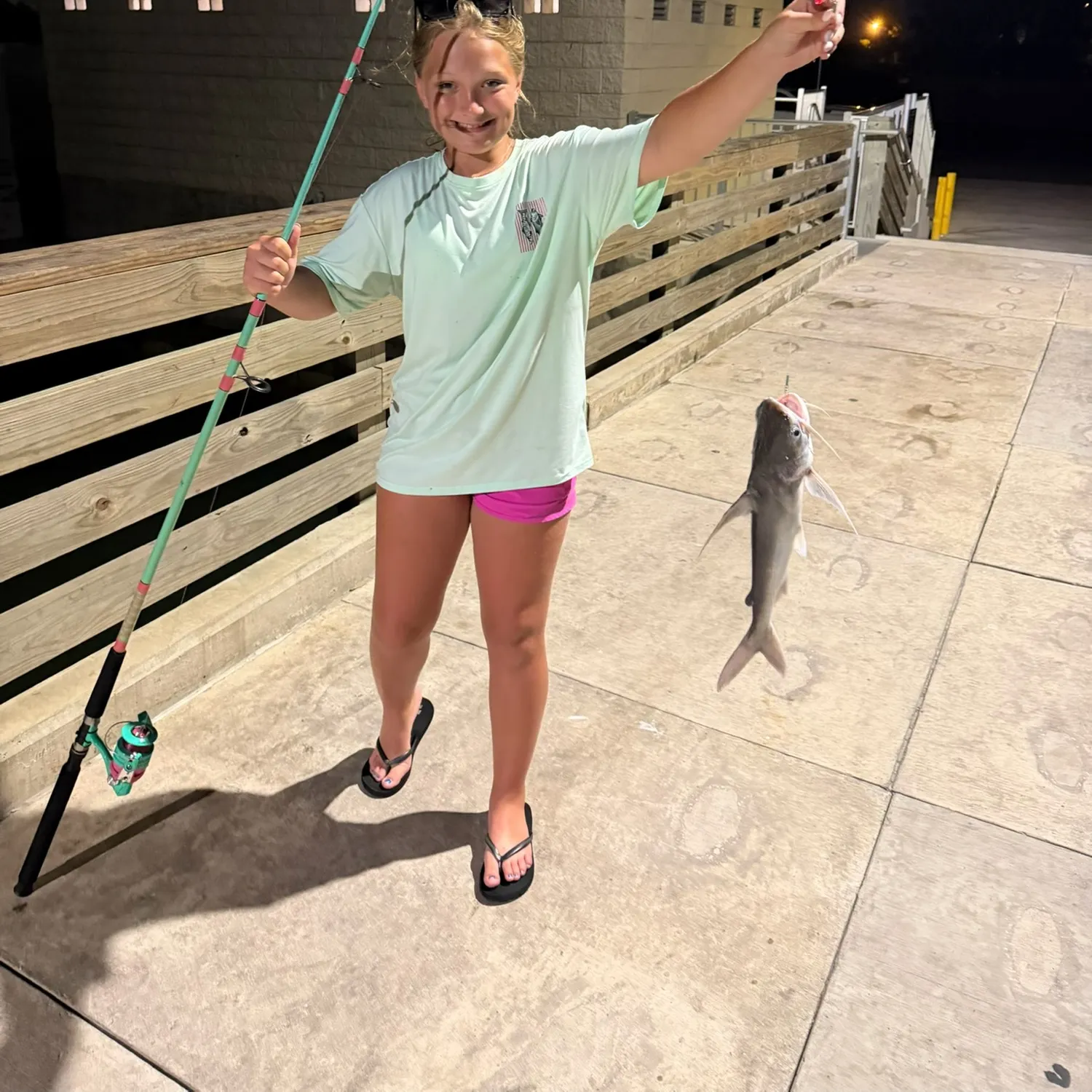 Gafftopsail sea catfish caught on Fishbrain