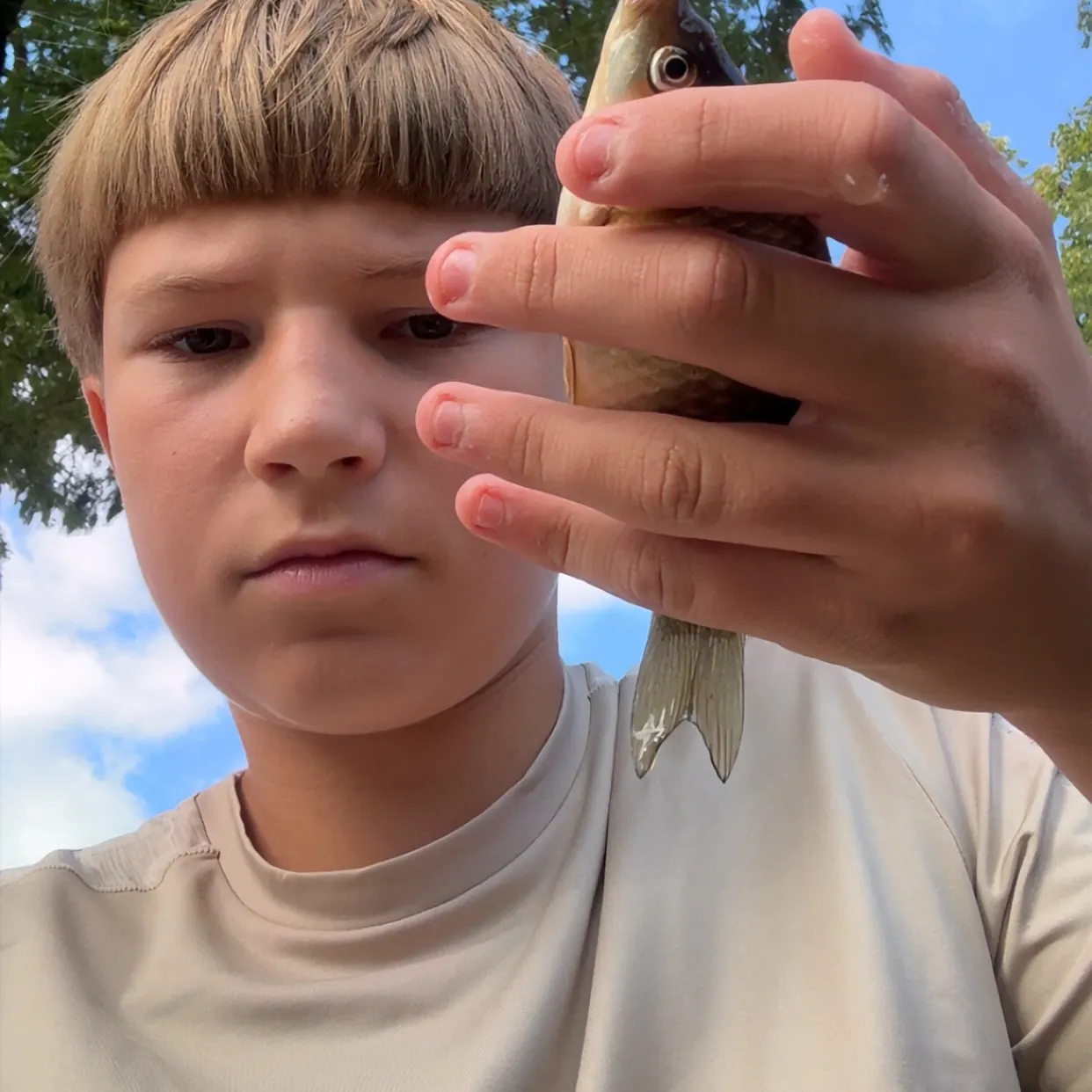 Prussian carp caught on Fishbrain