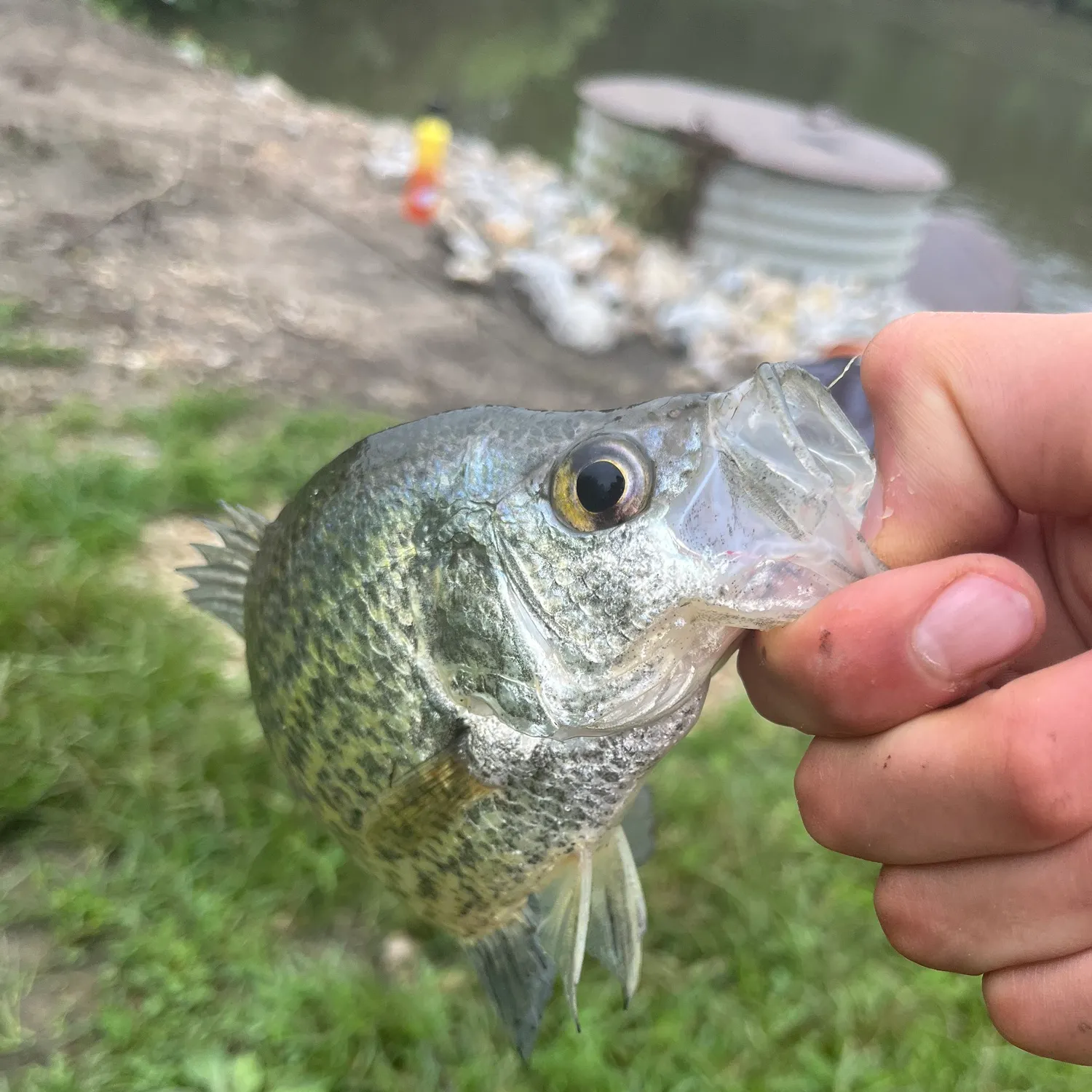 catch