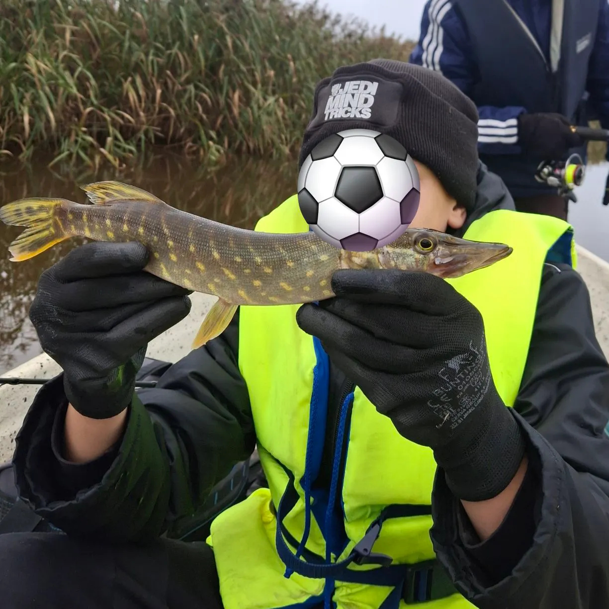 Northern pike caught on Fishbrain