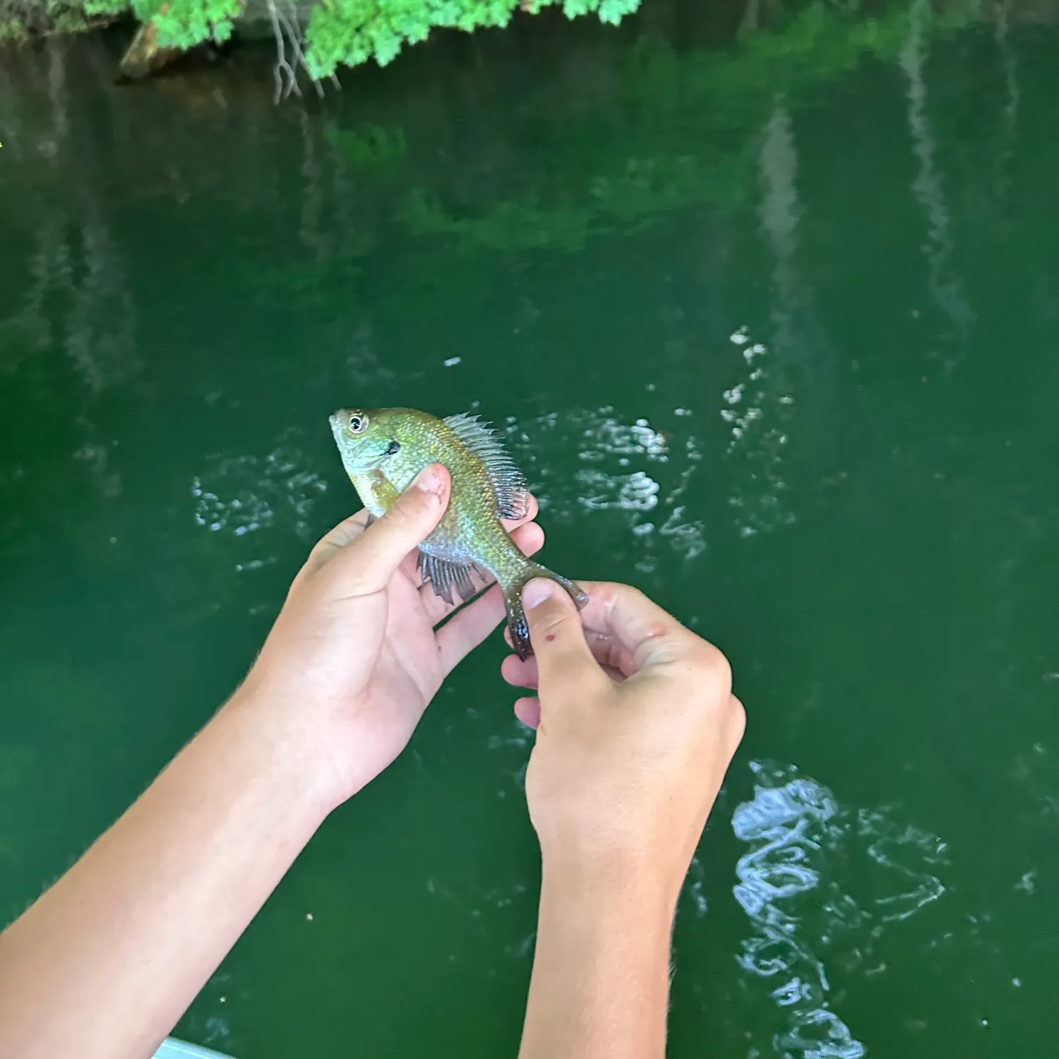 catch