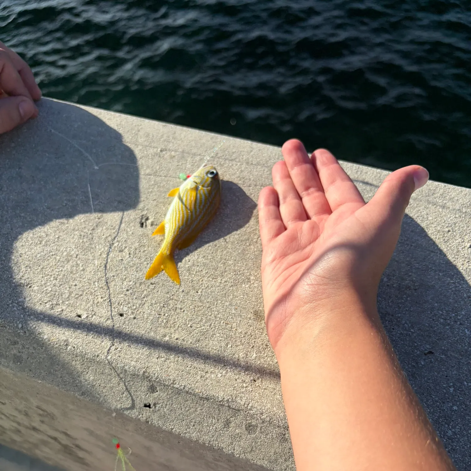 The most recent Eastern striped grunter catches on Fishbrain