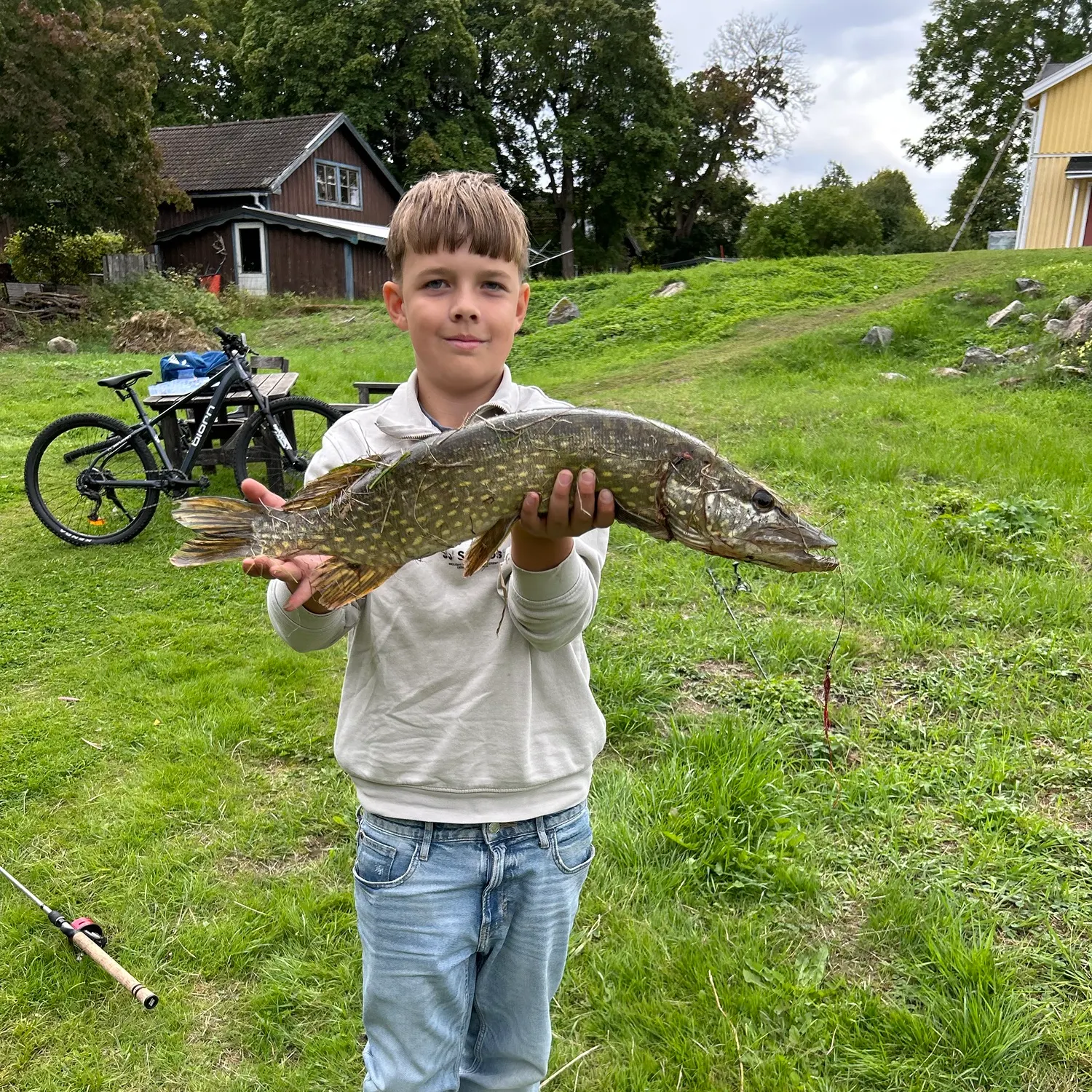 Northern pike caught on Fishbrain
