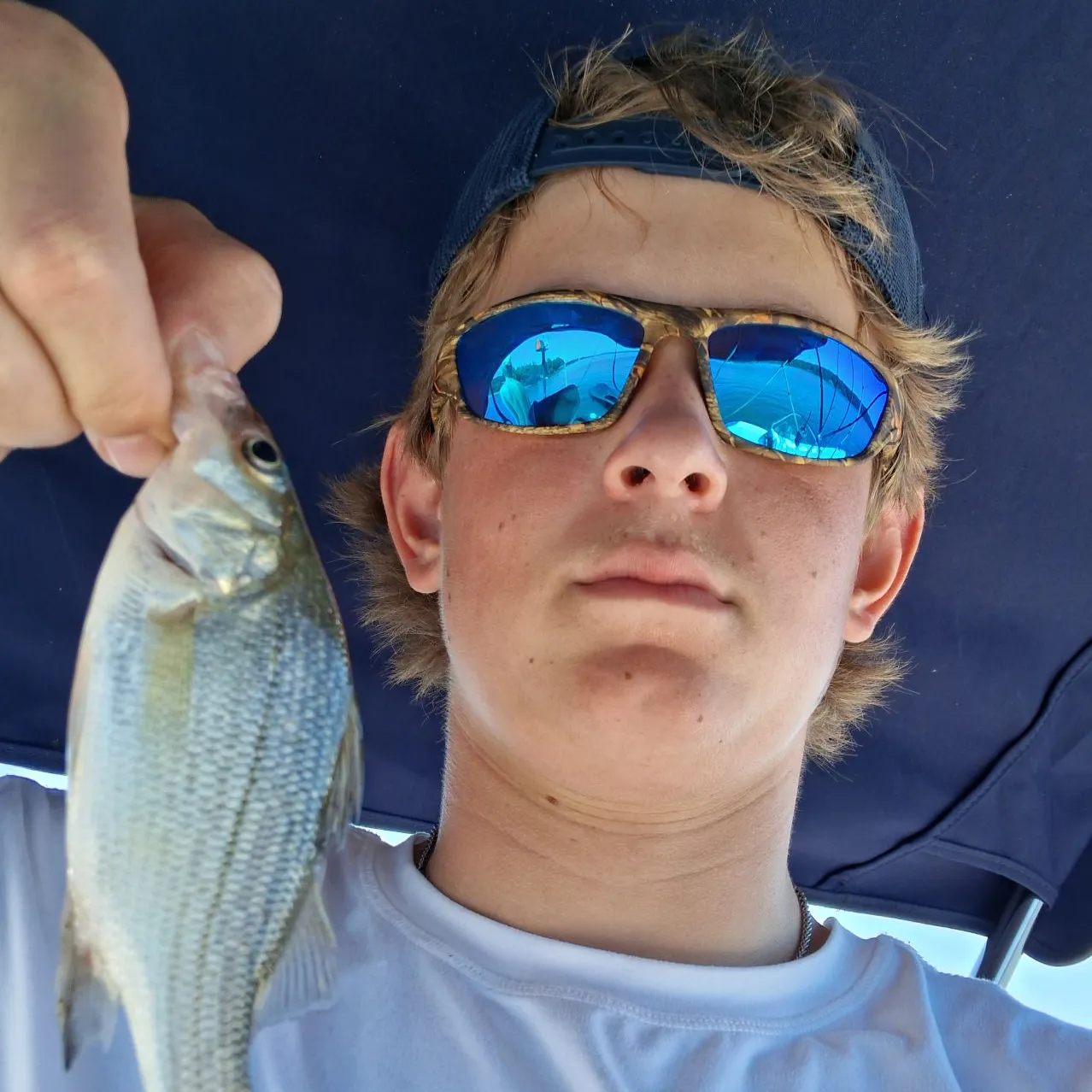 White perch caught on Fishbrain