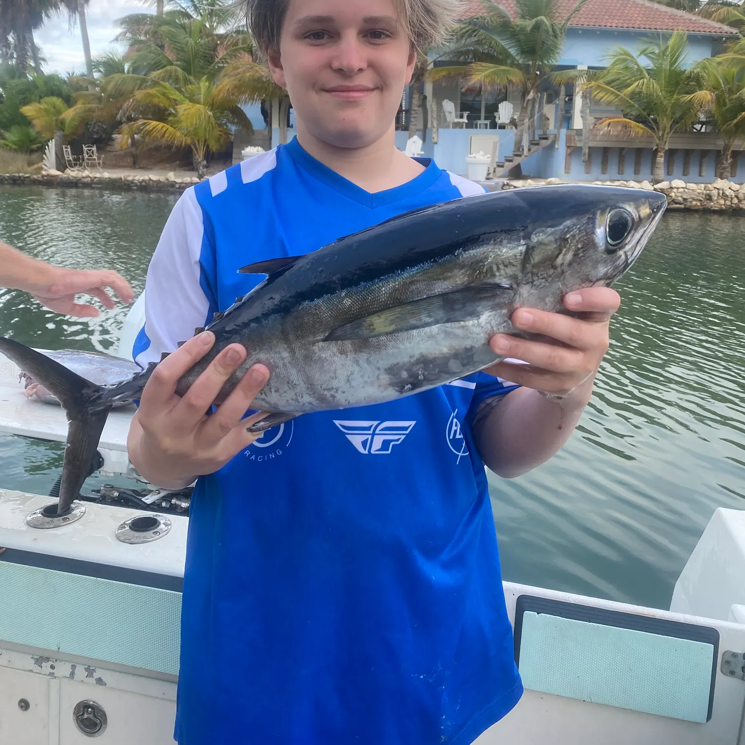 The most recent Blackfin tuna catches on Fishbrain