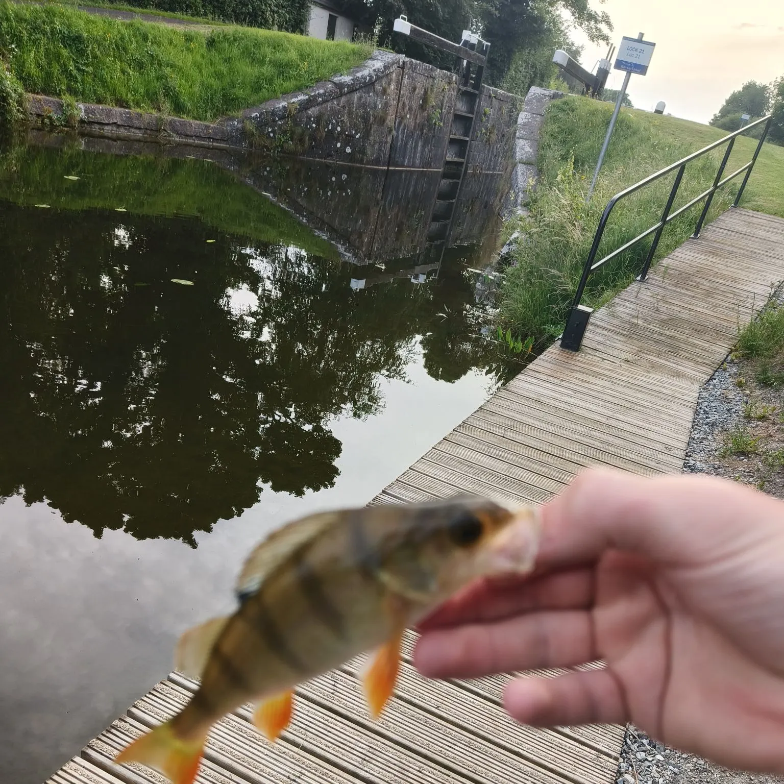 catch