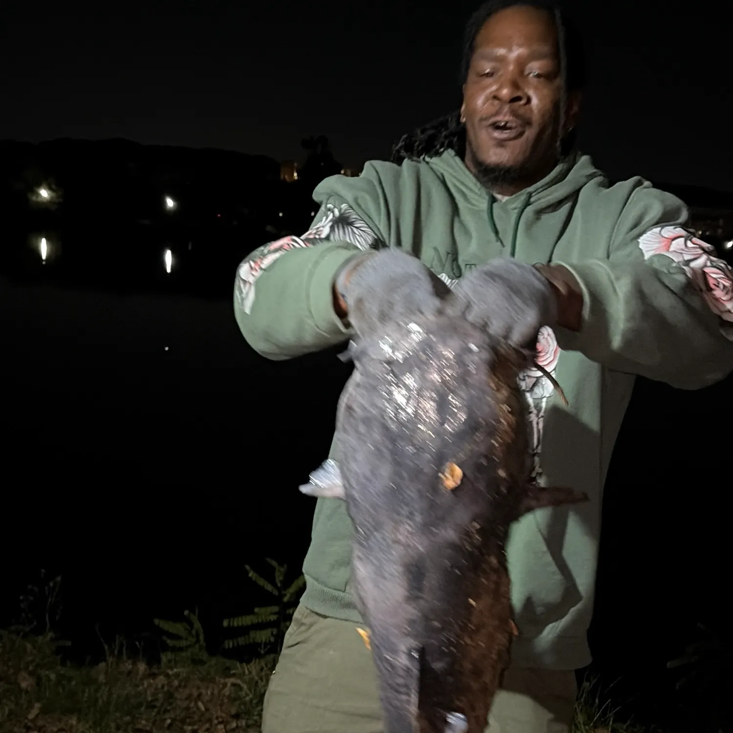 Blue catfish caught on Fishbrain