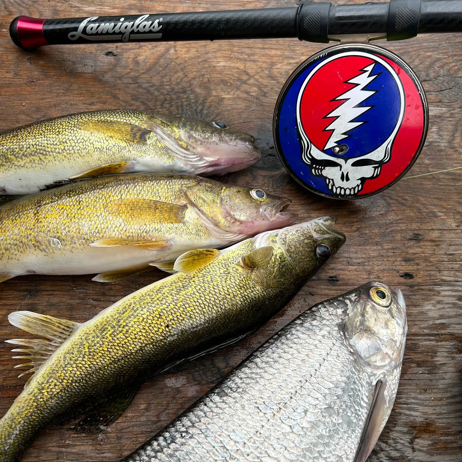 recently logged catches
