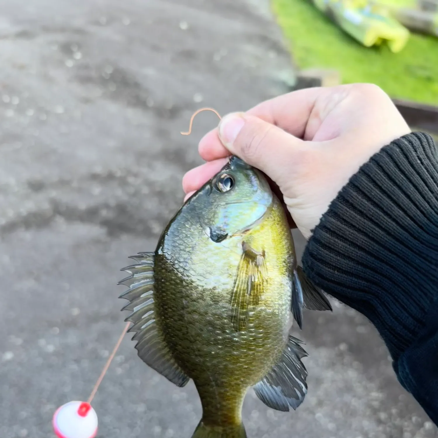 catch