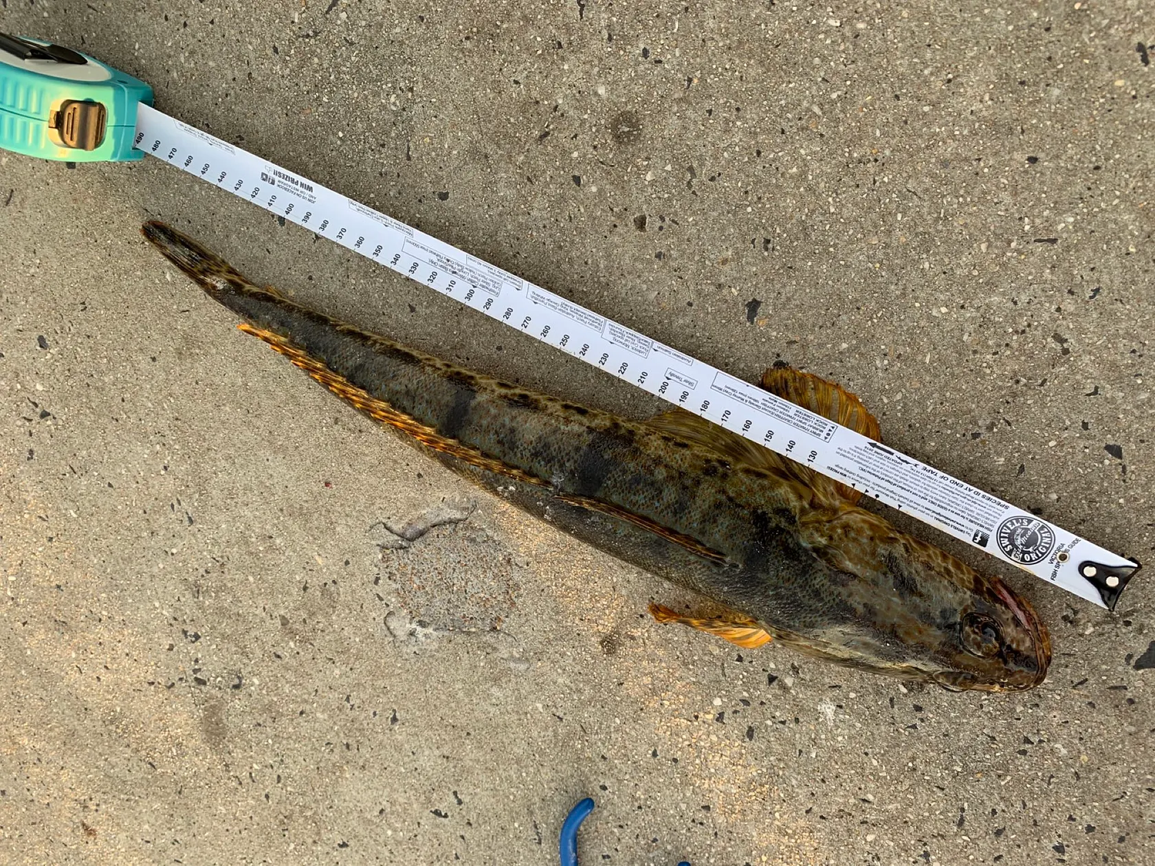 Post image from reggieraquel