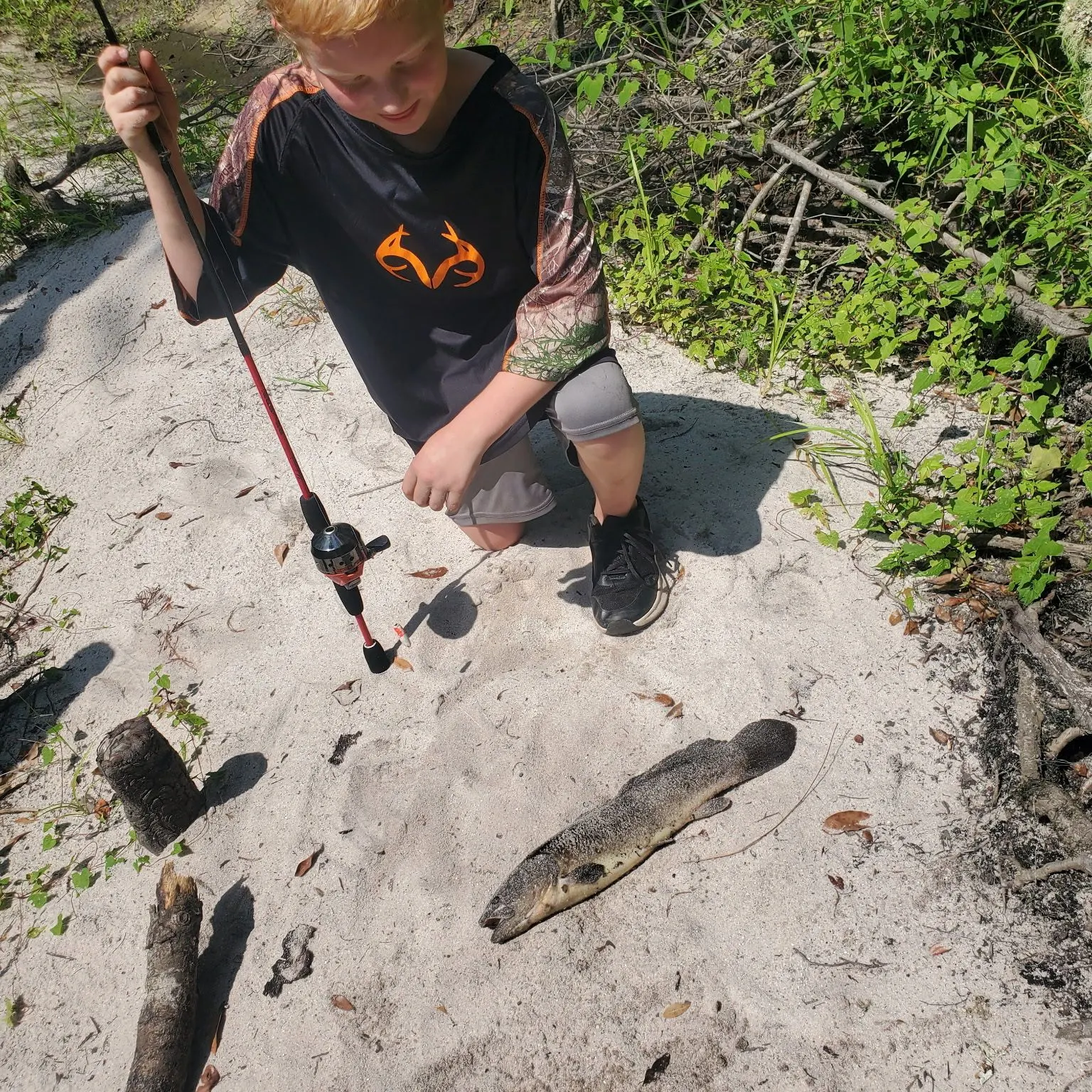 Fish caught on Fishbrain