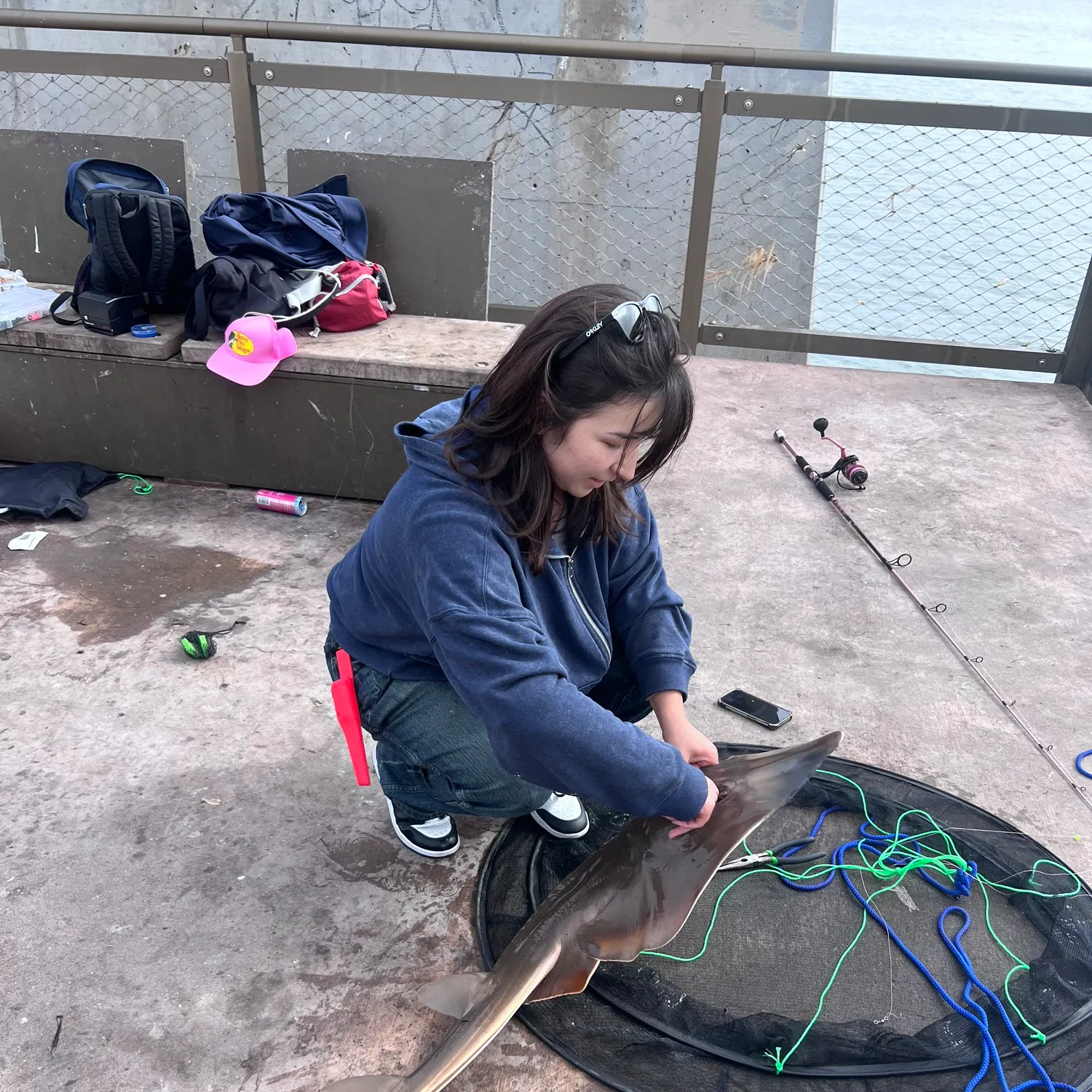 The most recent Blackchin guitarfish catches on Fishbrain