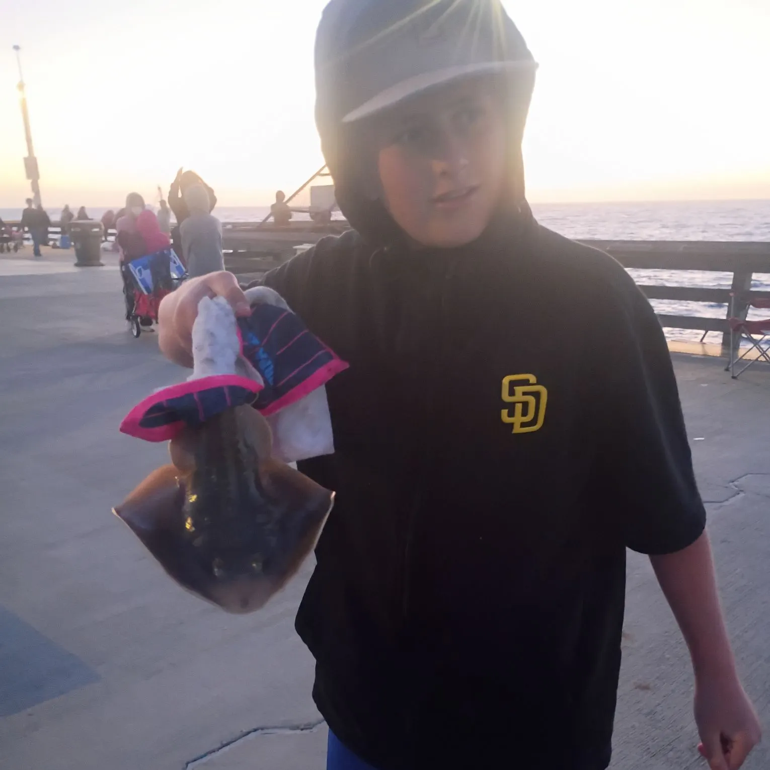 The most recent Haller's round ray catches on Fishbrain