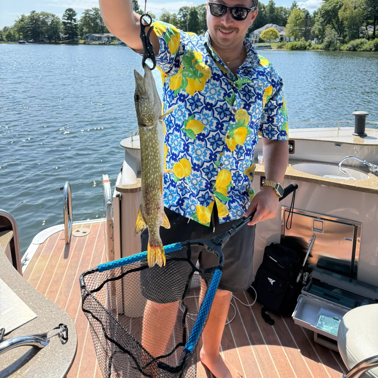 recently logged catches